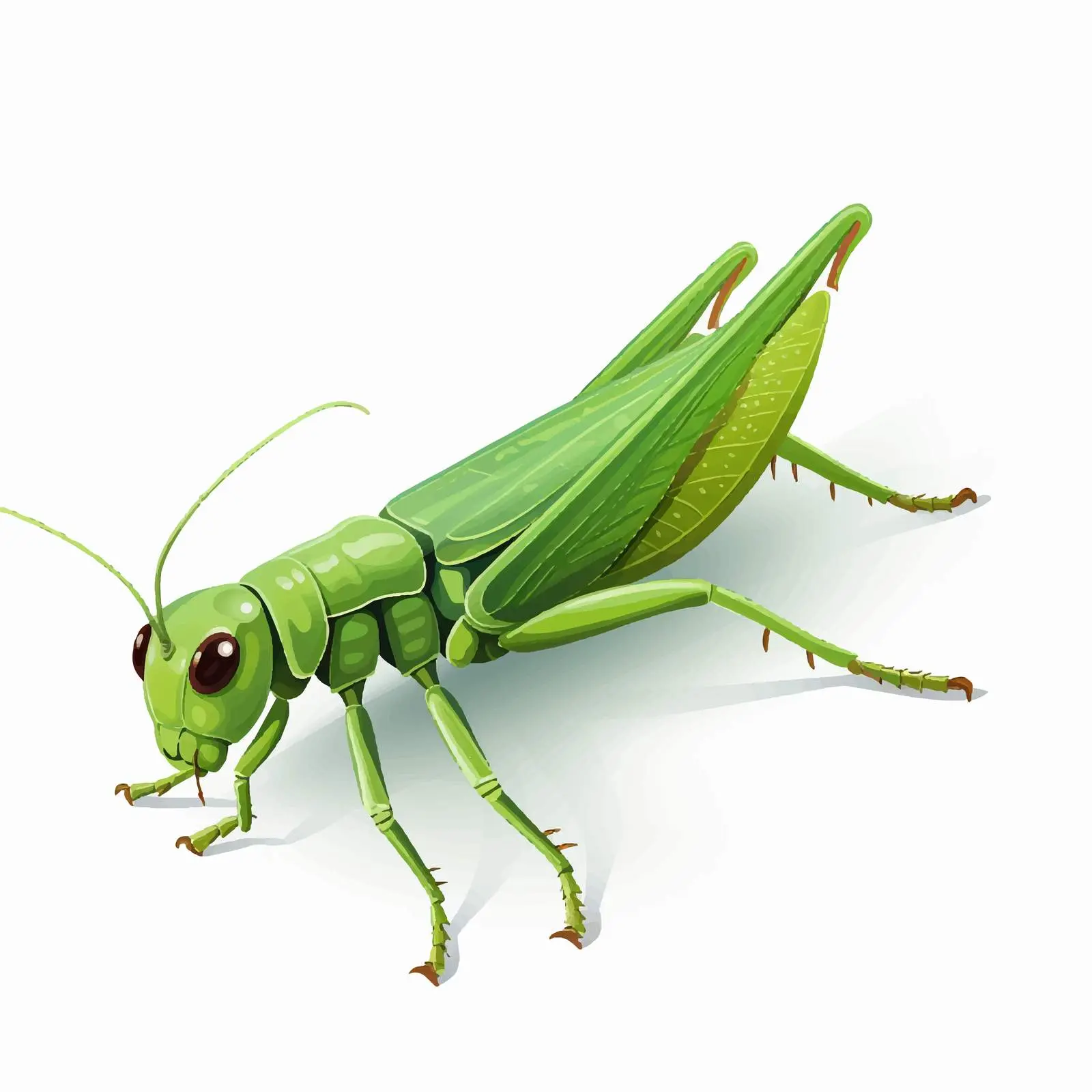 Green Grasshopper Vector Illustration on White Background — free download from Dotvec