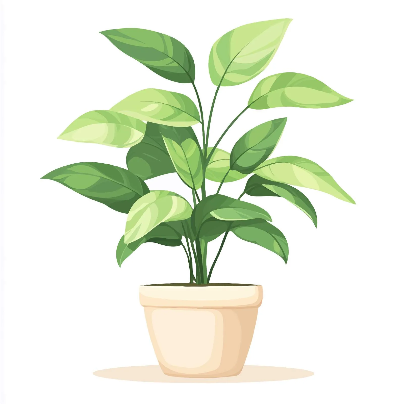 Indoor Green House Plant in Floor Pot — free download from Dotvec
