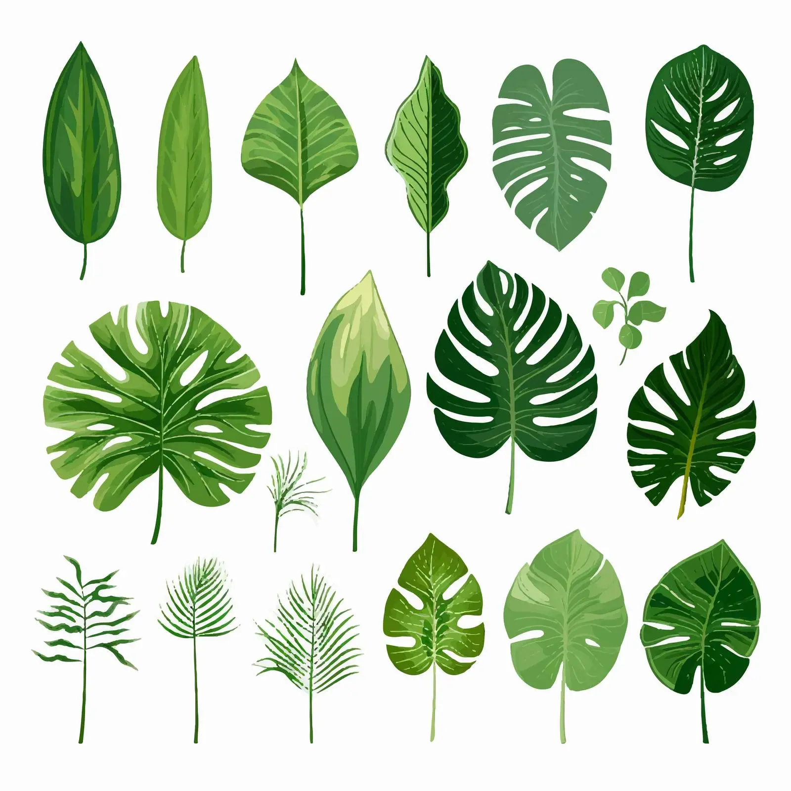 Exotic Tropical Foliage Leaf Vector Set — free download from Dotvec