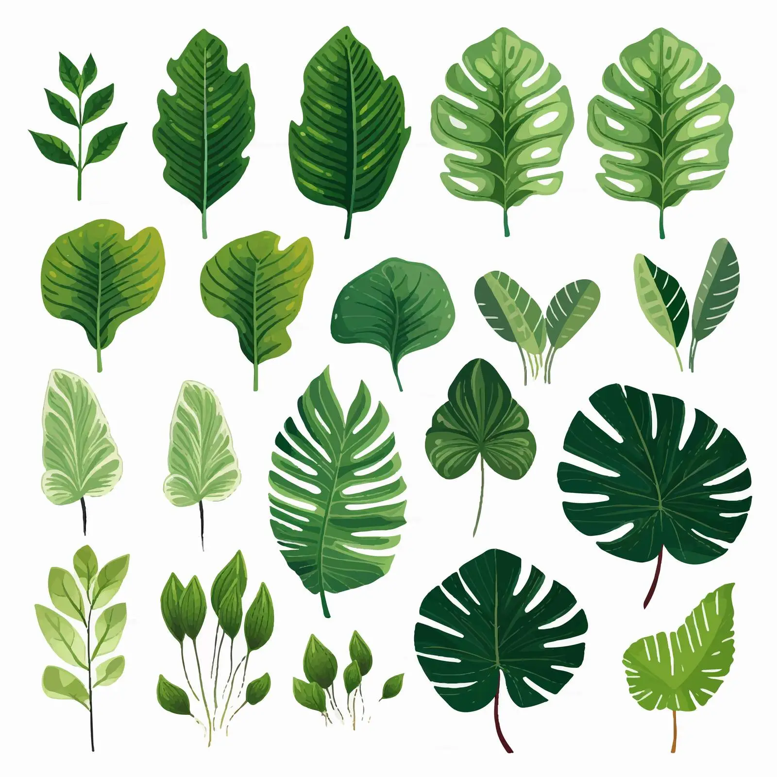 Exotic Tropical Green Leaf Vector Set — free download from Dotvec