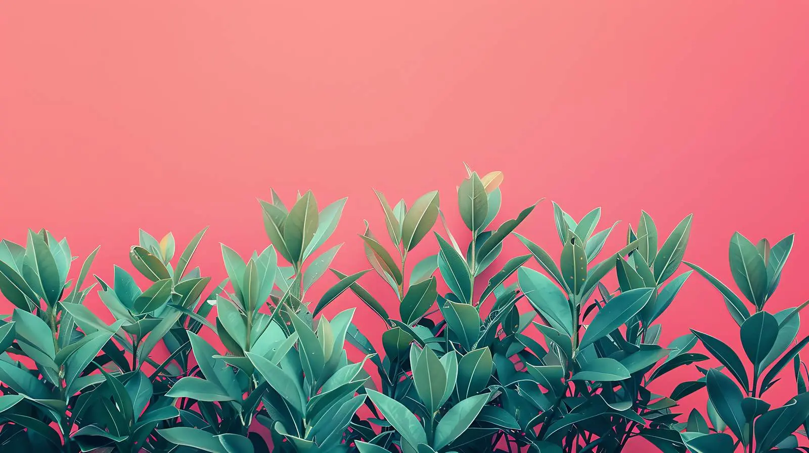 Lush Green Leaves on Pastel Red Background — free download from Dotvec