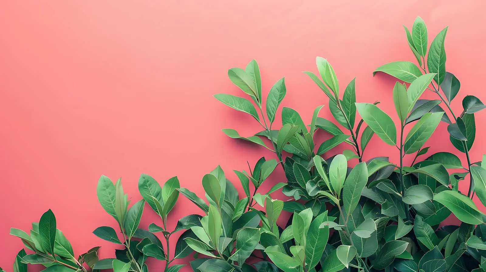 Green Leaves on Pastel Red Background — free download from Dotvec