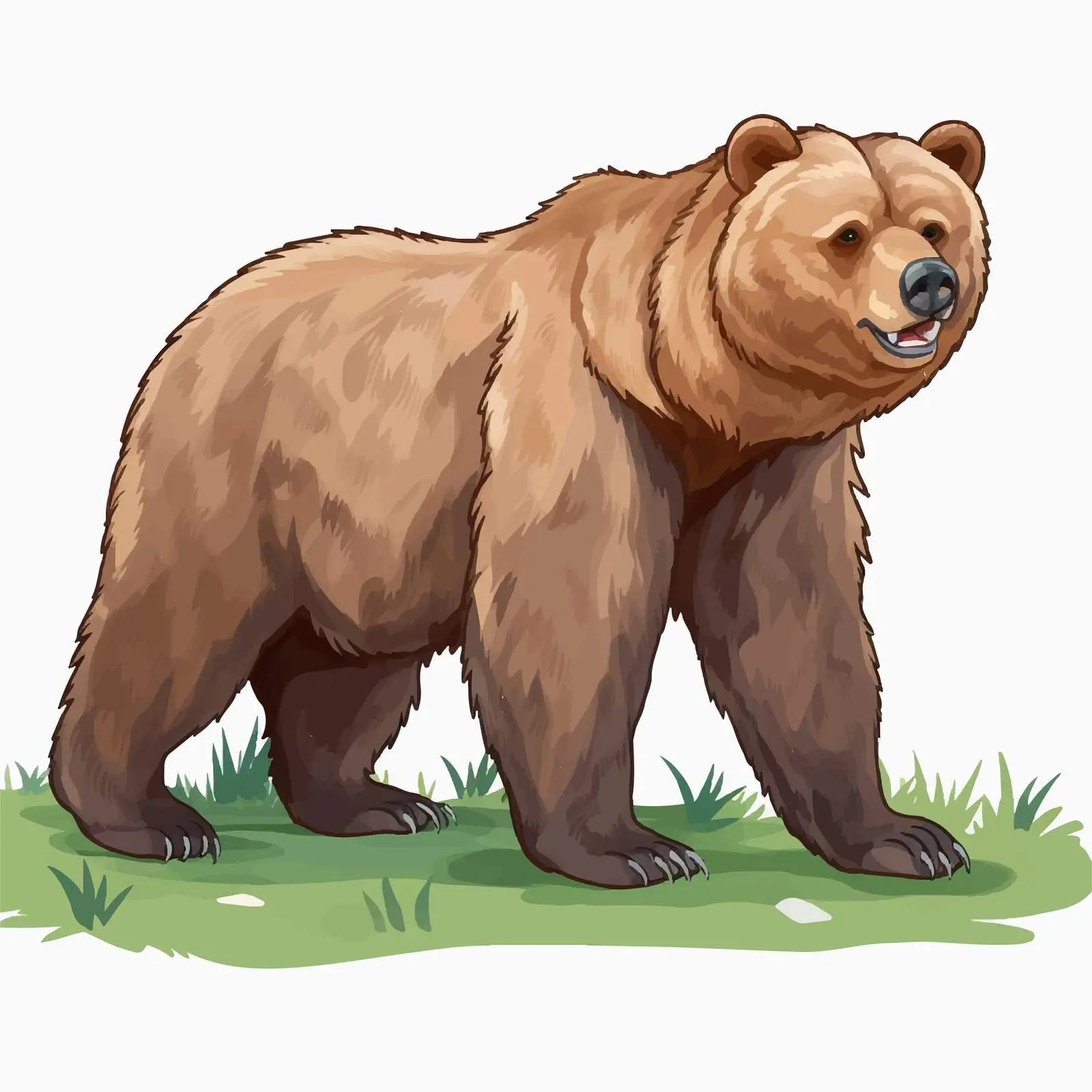 Grizzly Bear on Green Grass Vector Illustration — free download from Dotvec