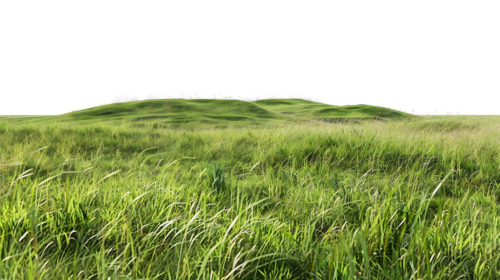 Serene Gushan Grassland on White Background — free download from Dotvec