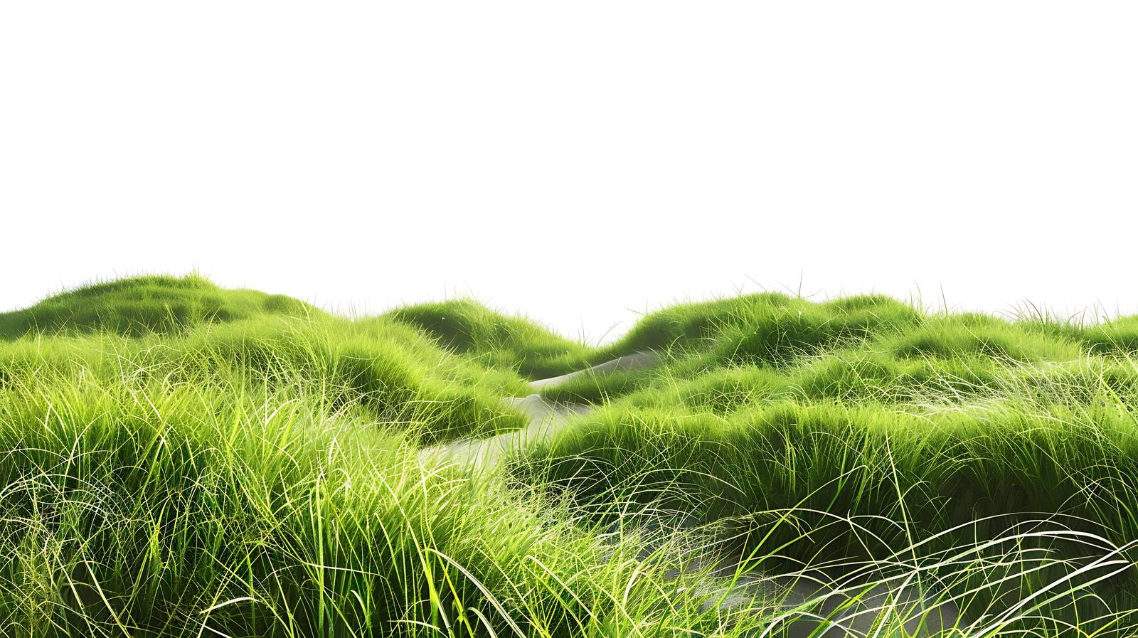 Serene Gushan Grassland on White Background — free download from Dotvec