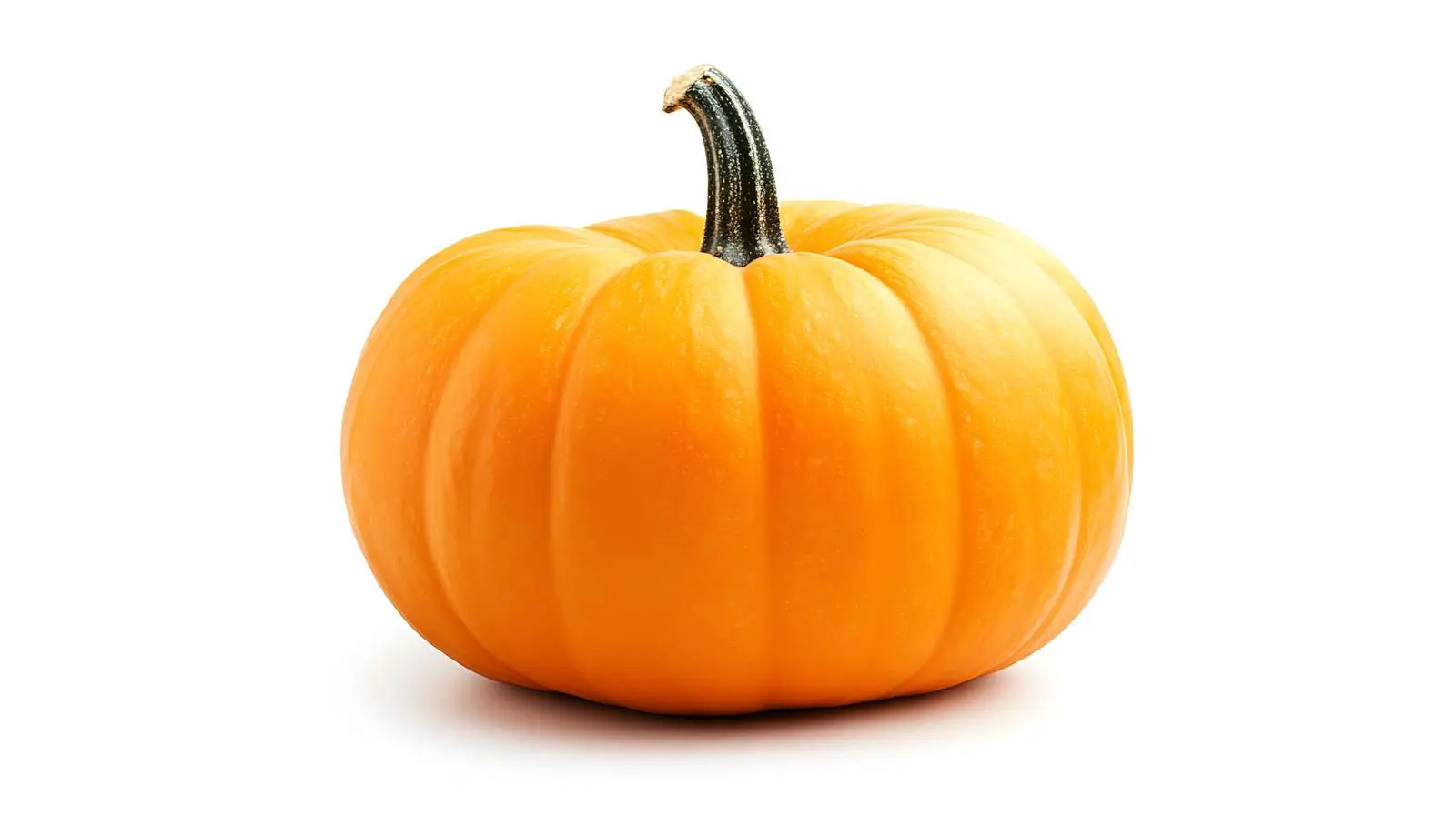 High-Quality Halloween Pumpkin Isolated on White — free download from Dotvec