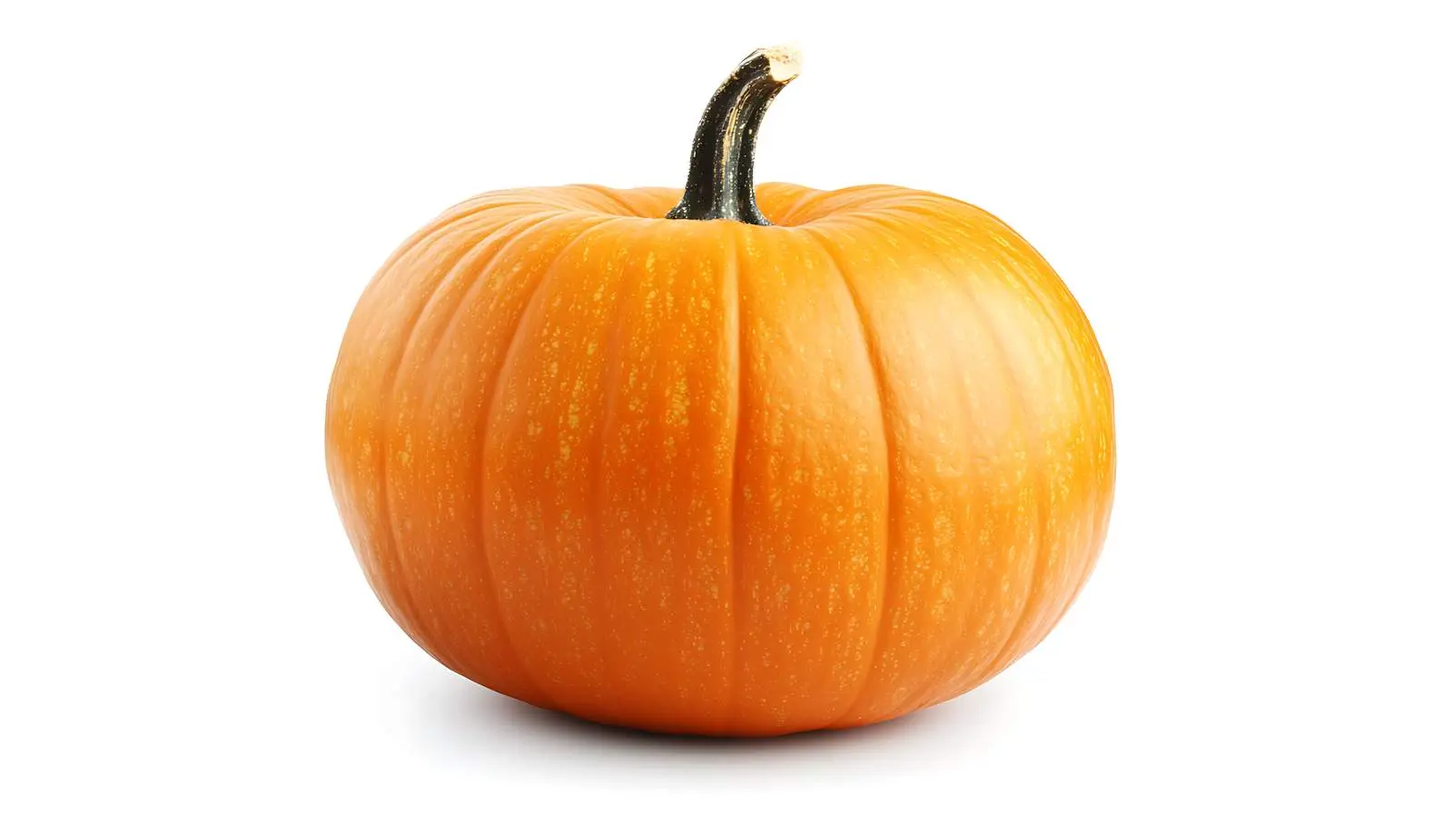 High-Quality Halloween Pumpkin Isolated — free download from Dotvec