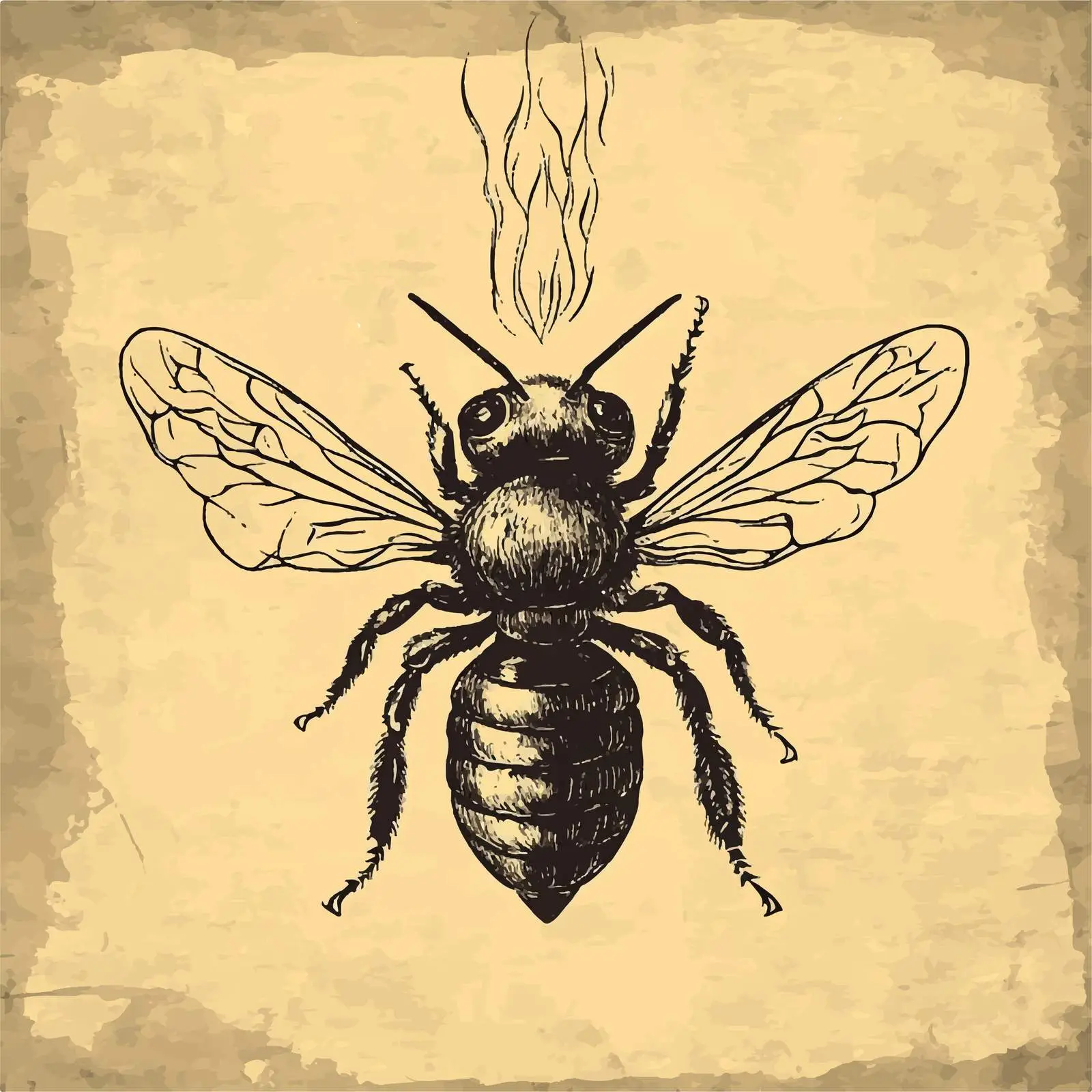 Hand-Drawn Bee Smoker Sketch on Old Paper — free download from Dotvec