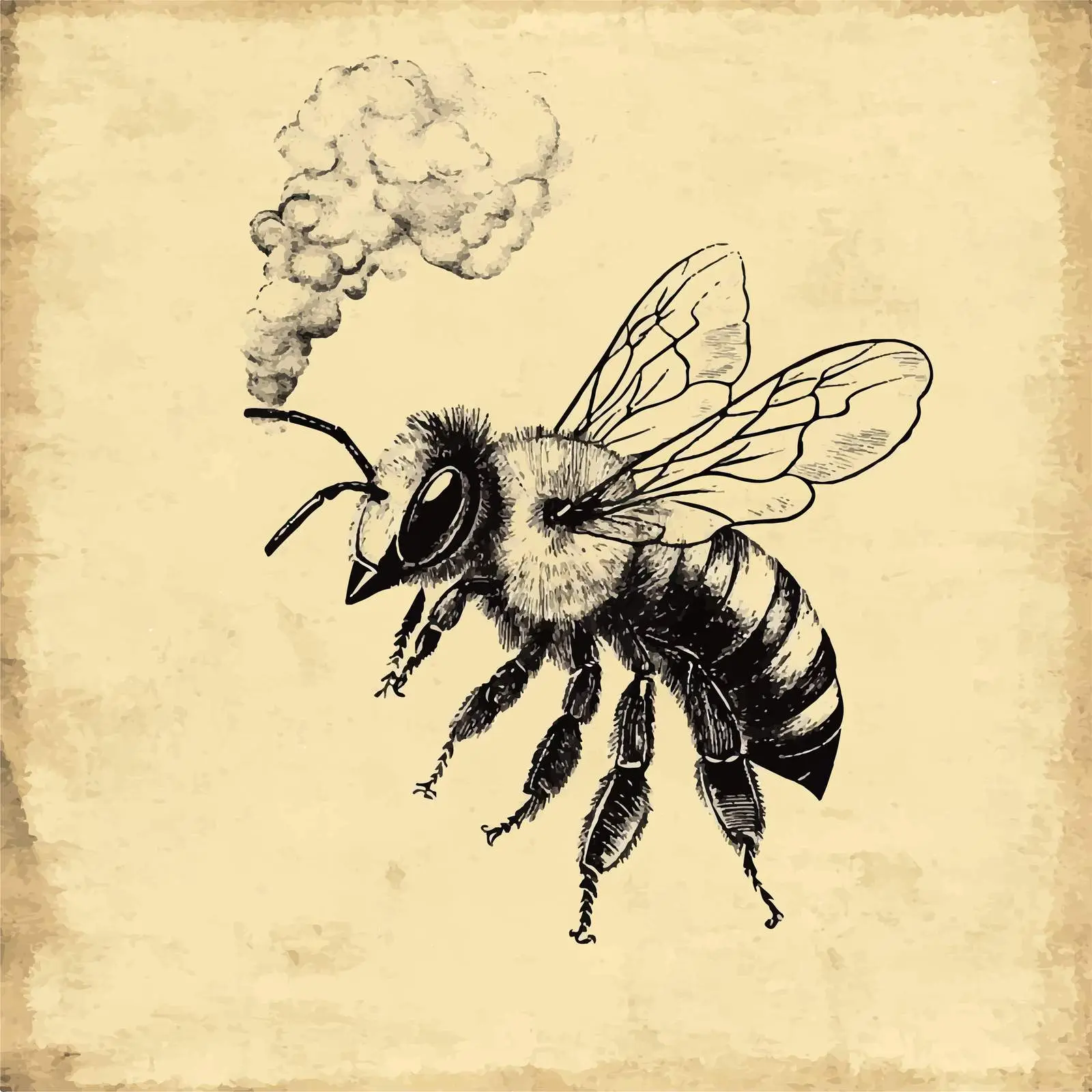 Hand-Drawn Bee Smoker Sketch on Old Paper — free download from Dotvec