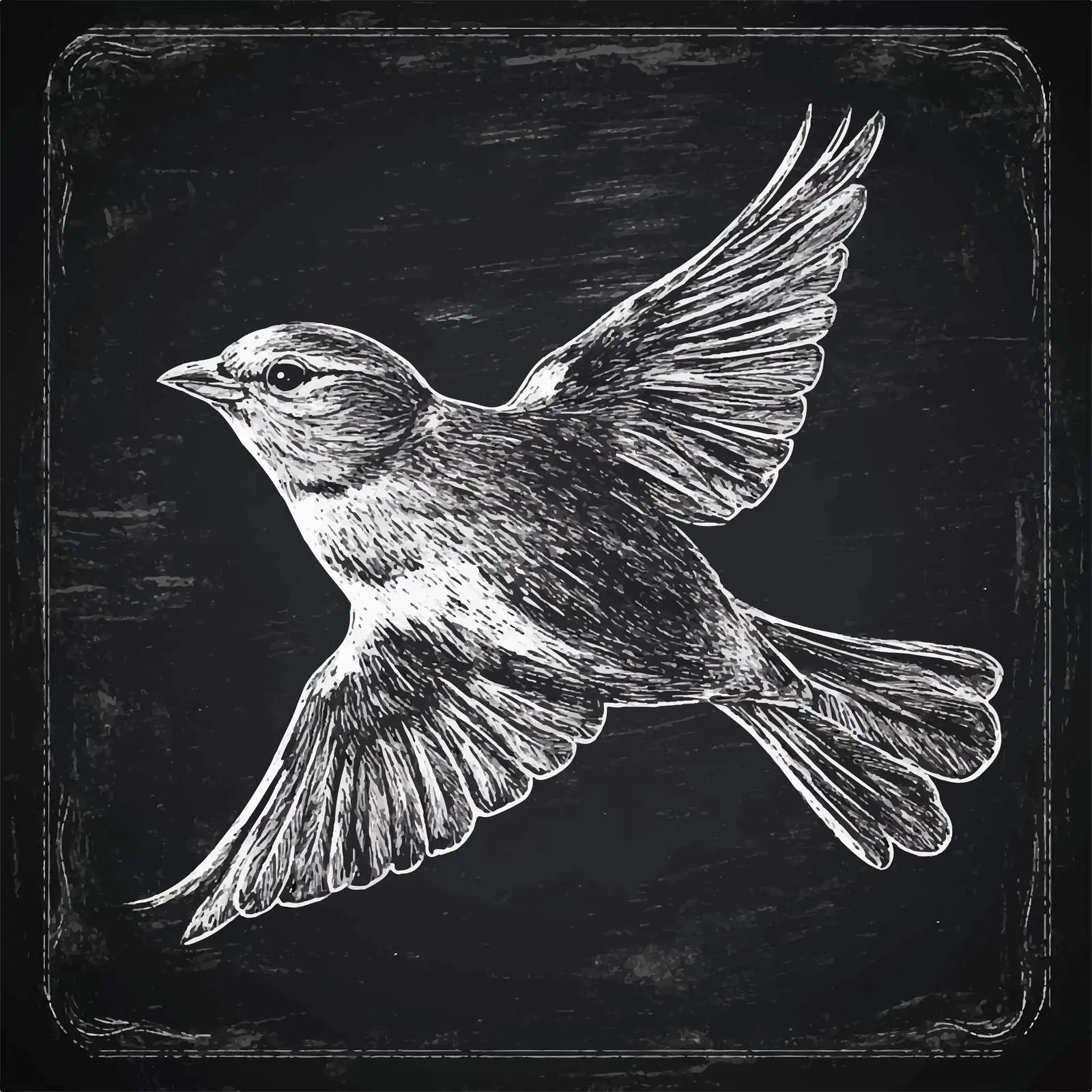 Hand Drawn Bird Sketch on Chalkboard — free download from Dotvec