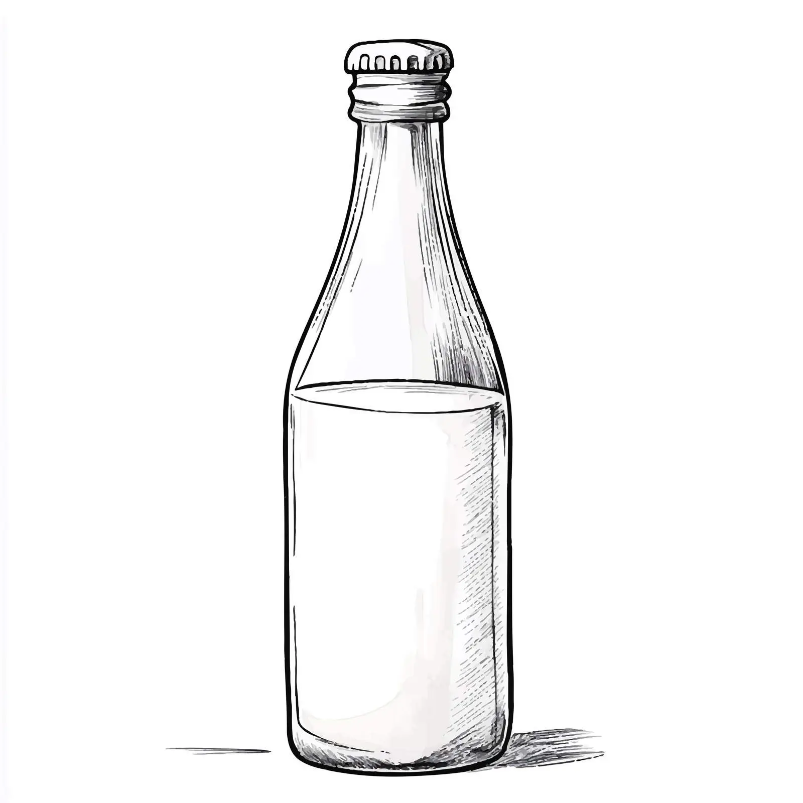 Hand-Drawn Milk Bottle Sketch on White Background — free download from Dotvec
