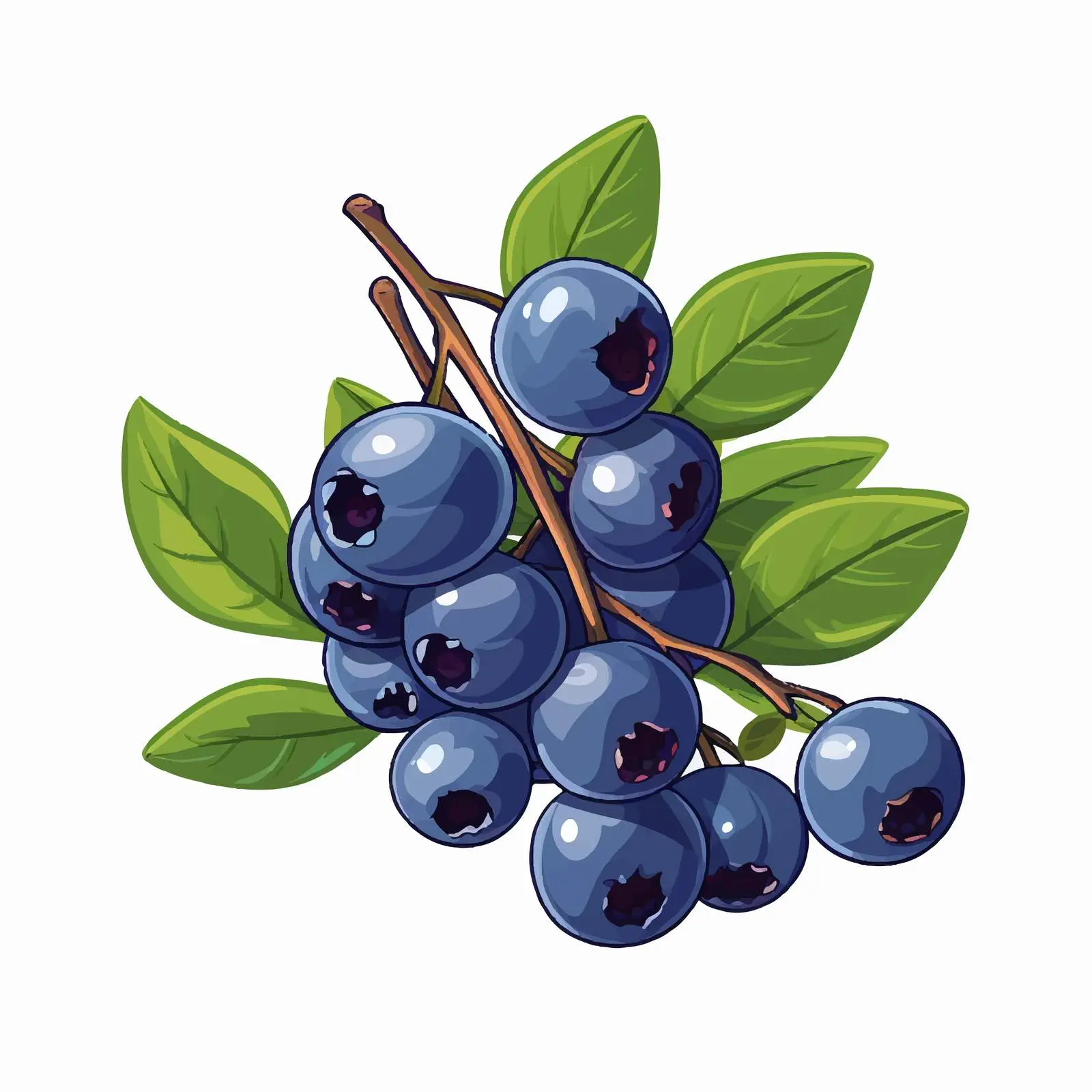 Hand-Drawn Blueberry Branch with Leaves Vector — free download from Dotvec