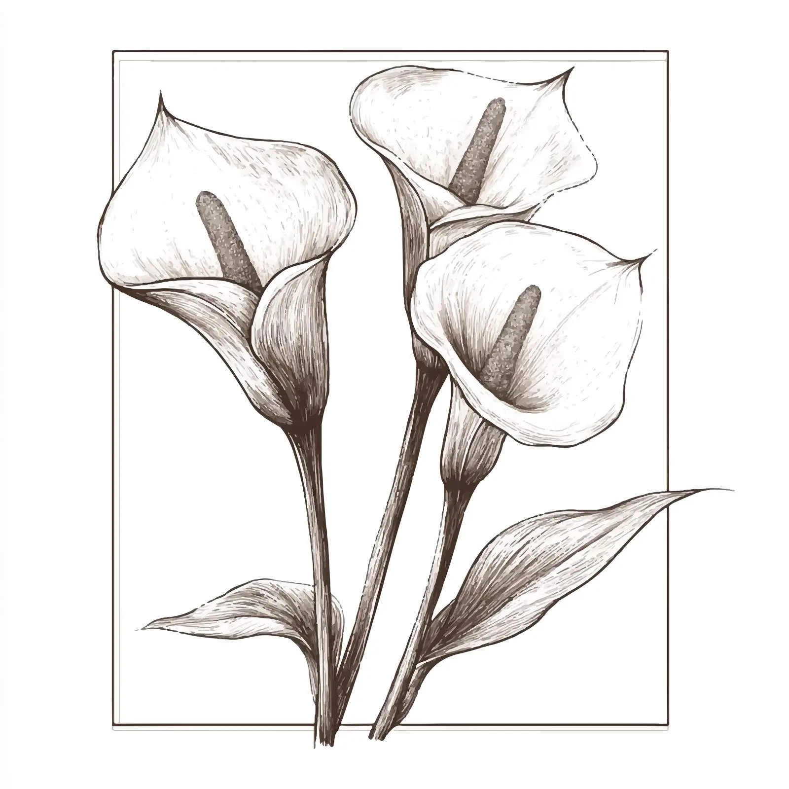 Hand Drawn Bridal Bouquet Sketch Illustration — free download from Dotvec