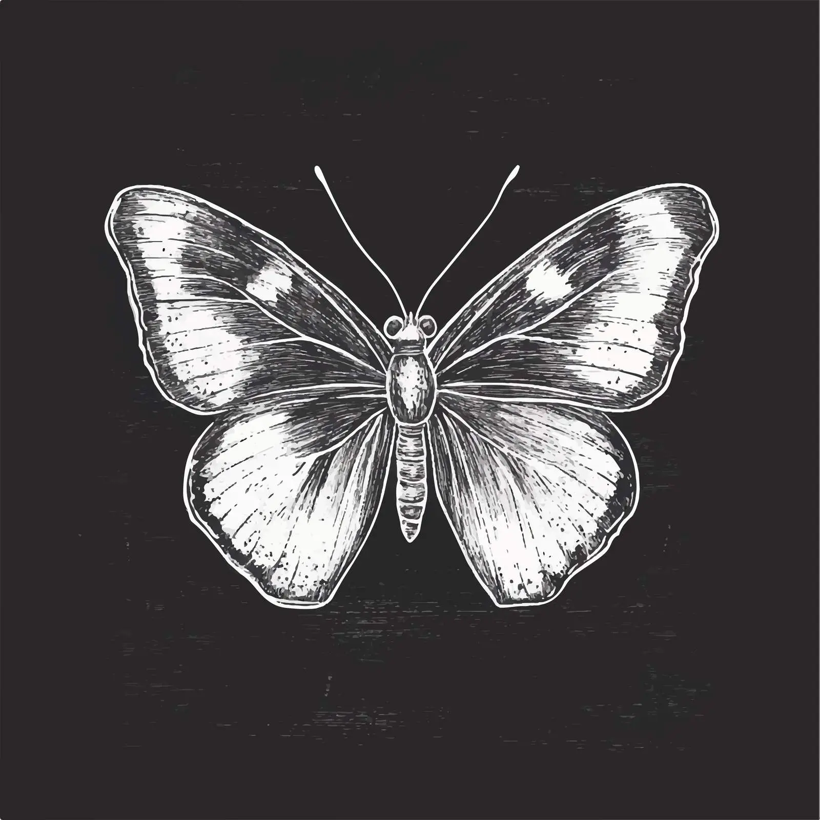 Hand Drawn Butterfly Sketch on Chalkboard — free download from Dotvec