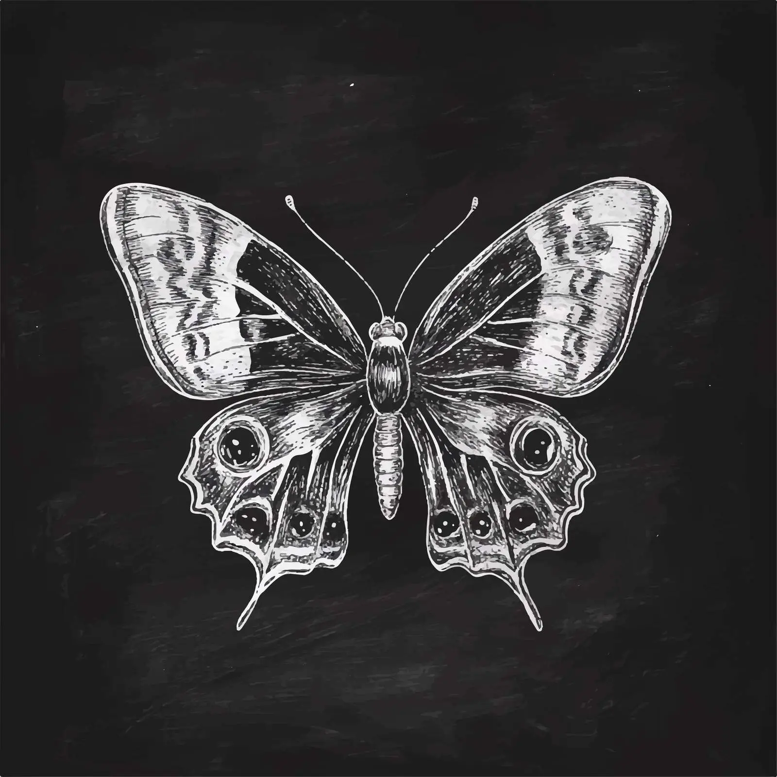 Hand Drawn Butterfly Sketch for Creative Design — free download from Dotvec