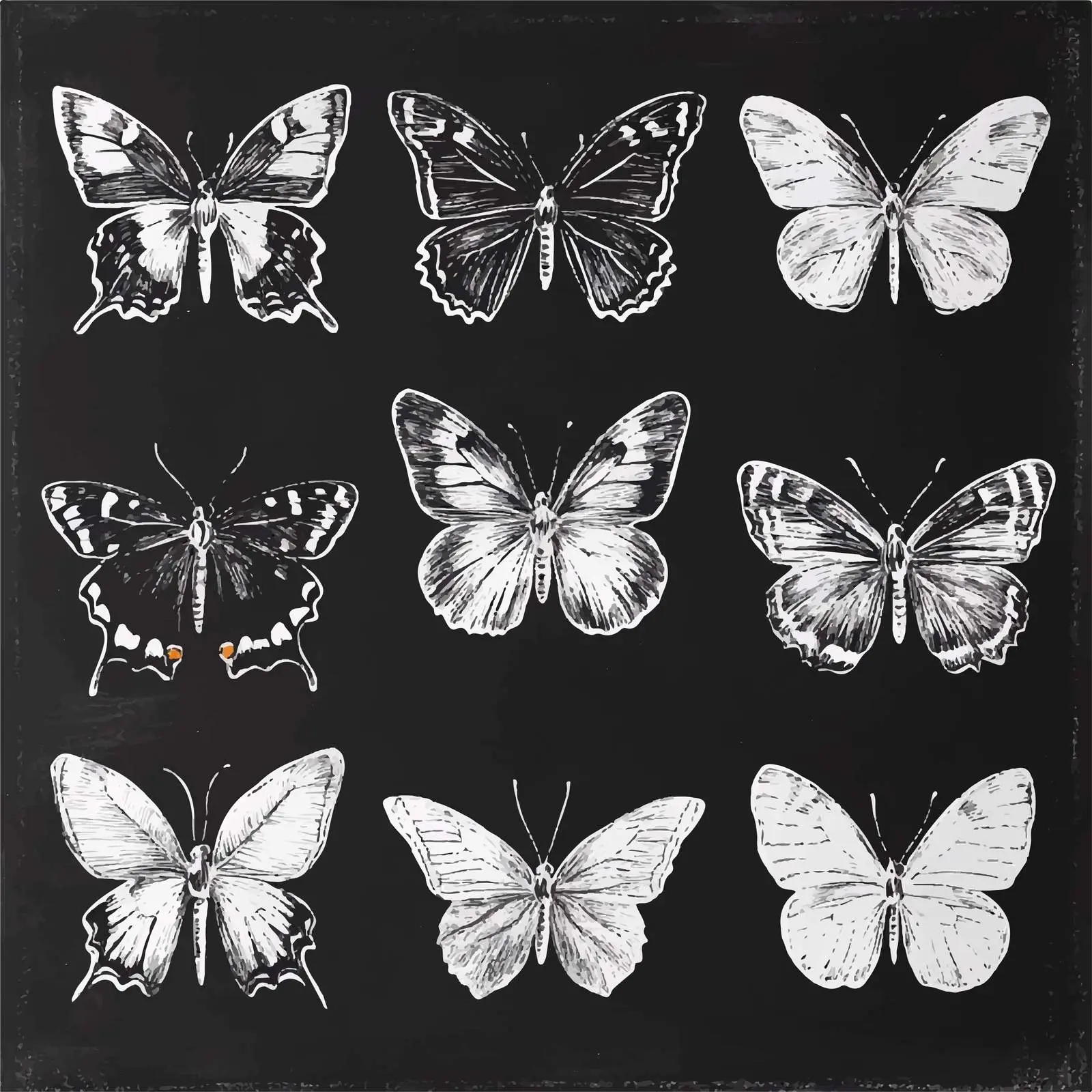 Hand-Drawn Butterfly Sketches Collection — free download from Dotvec