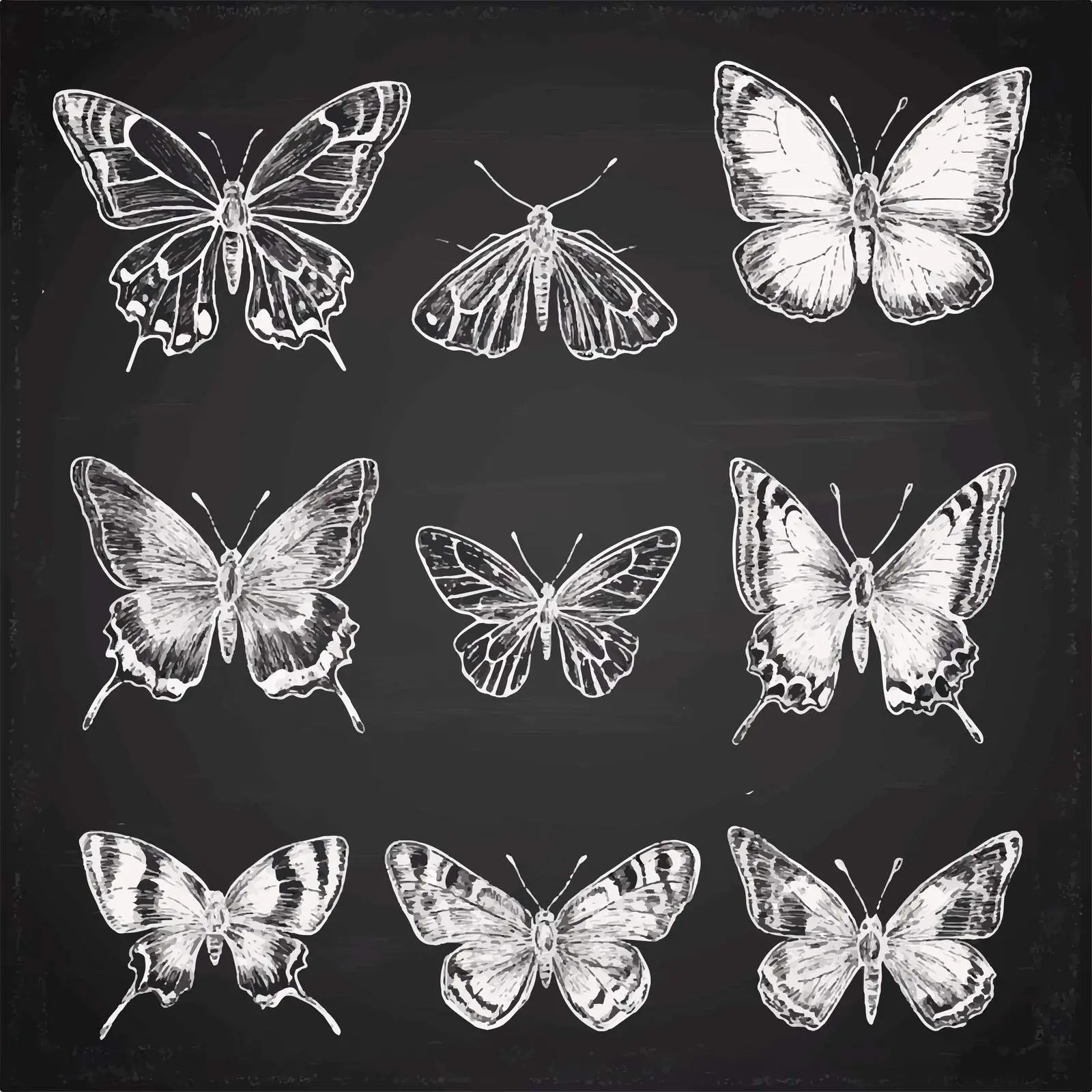 Hand Drawn Butterfly Sketches Collection — free download from Dotvec