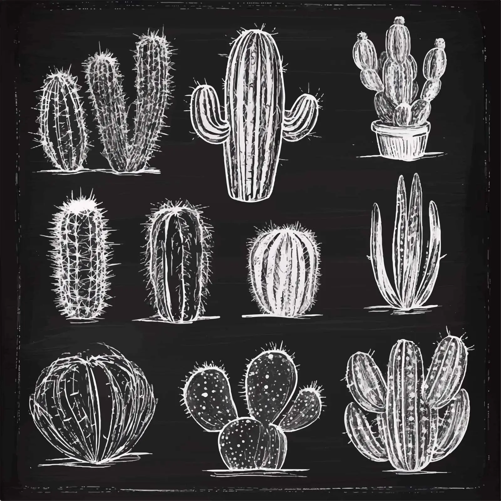 Hand-Drawn Cactus Sketch Collection — free download from Dotvec