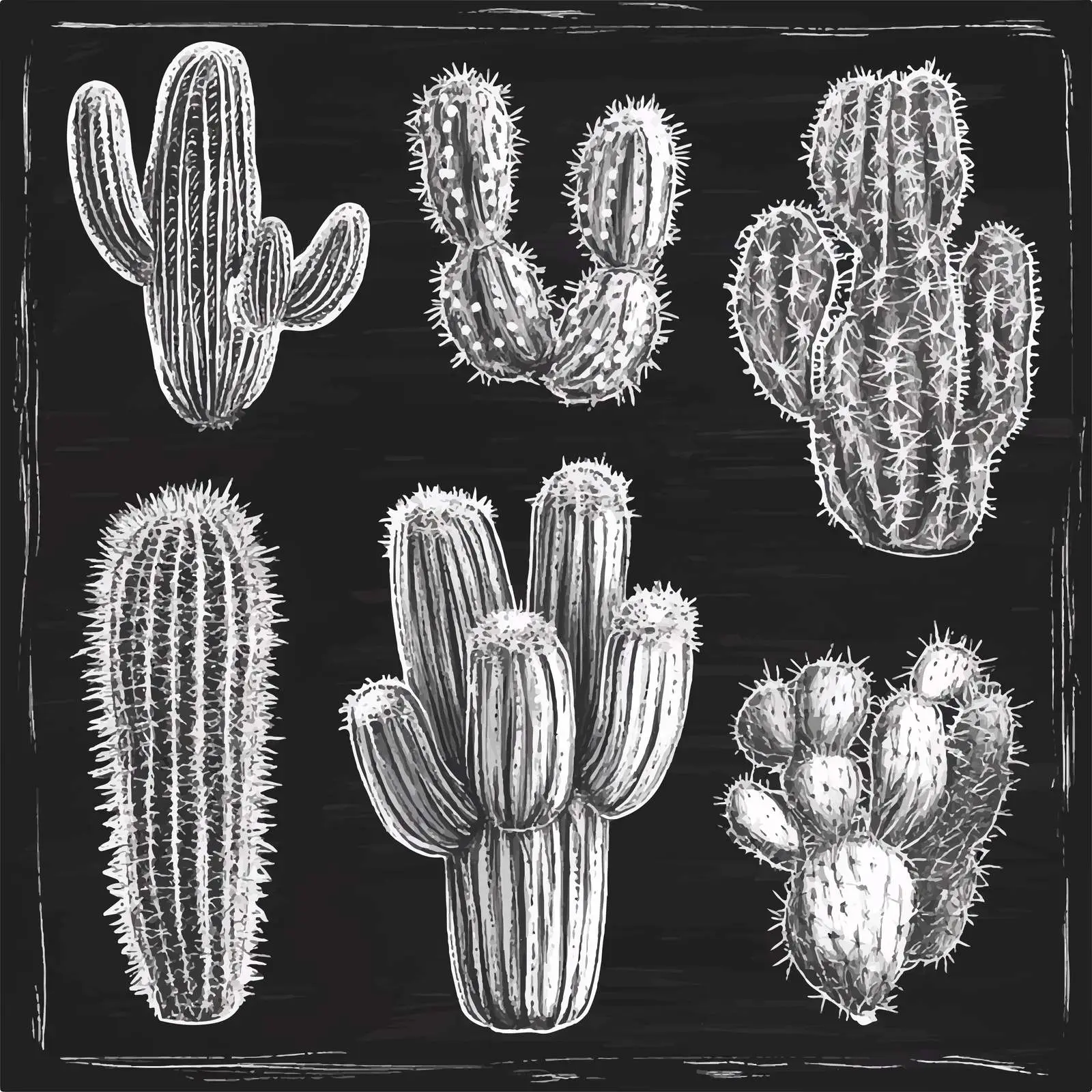 Hand-Drawn Cactus Sketches Collection — free download from Dotvec