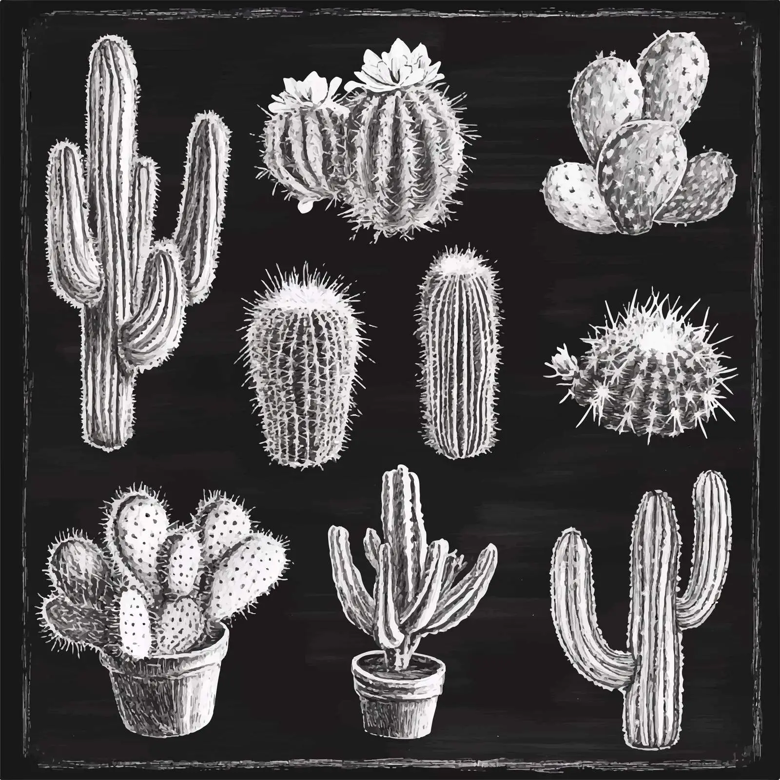 Hand Drawn Cactus Sketch Collection — free download from Dotvec