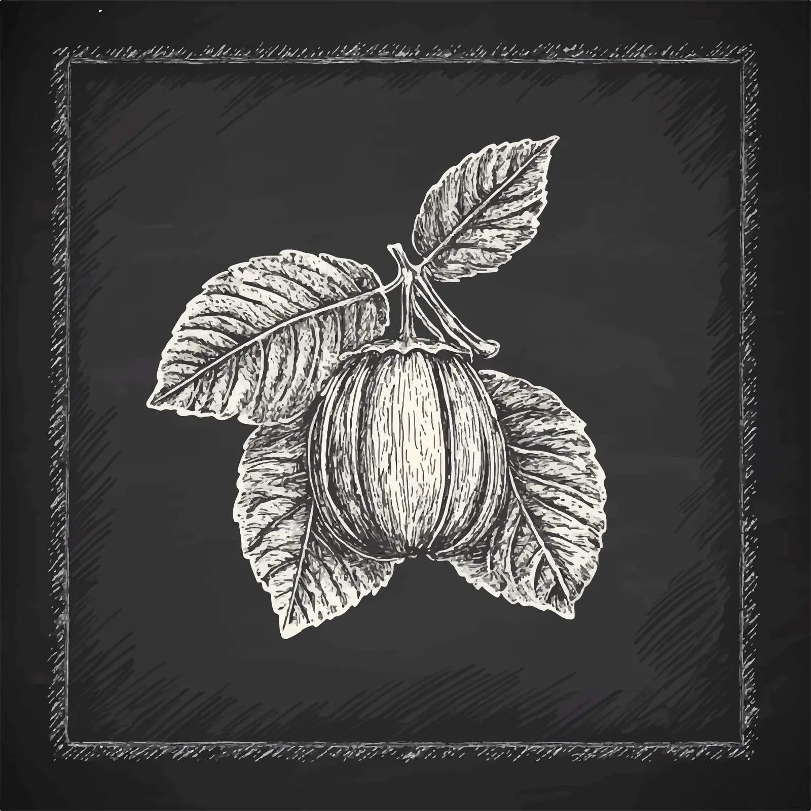 Hand Drawn Chestnut Sketch Vector Illustration — free download from Dotvec