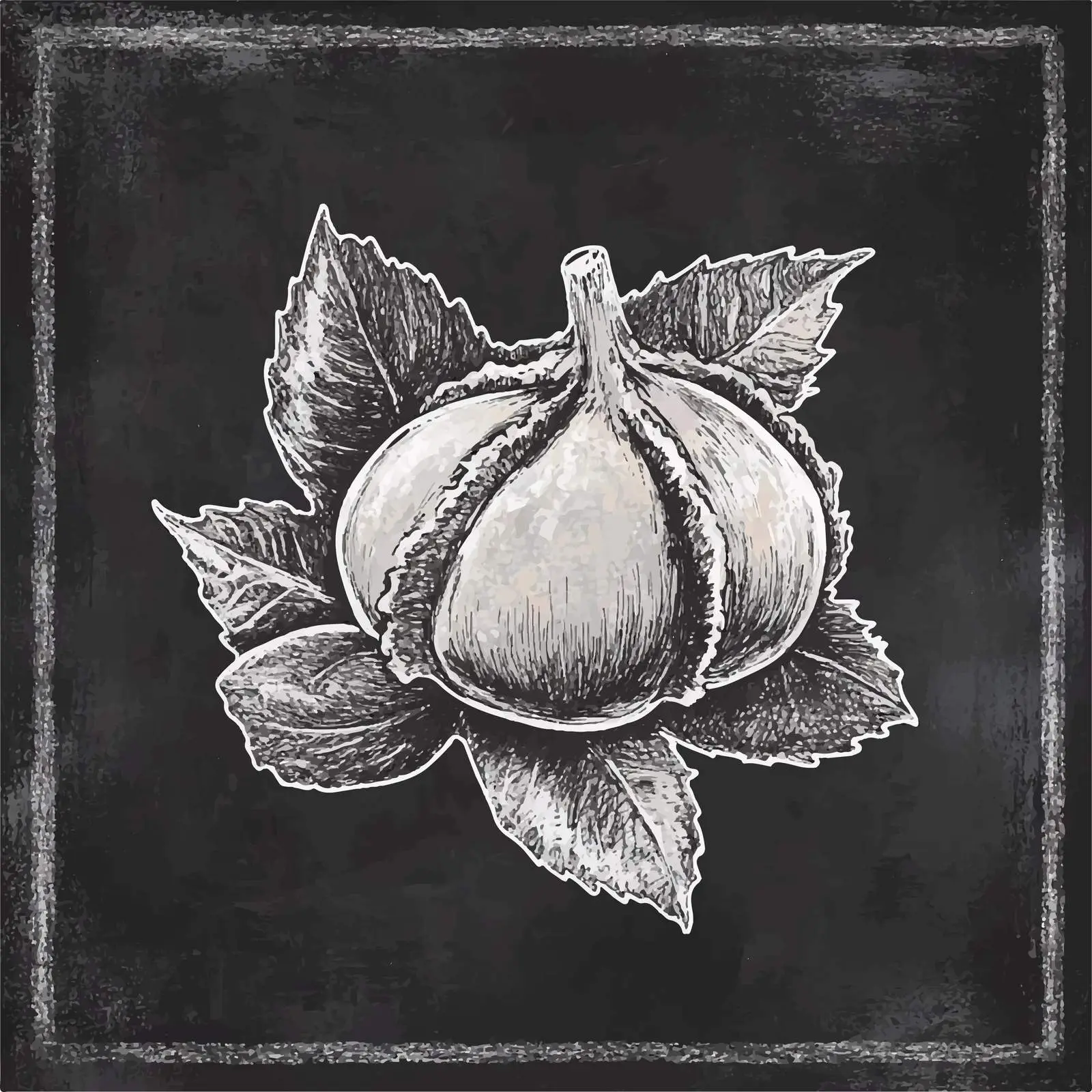 Hand Drawn Chestnut Sketch on Chalkboard — free download from Dotvec