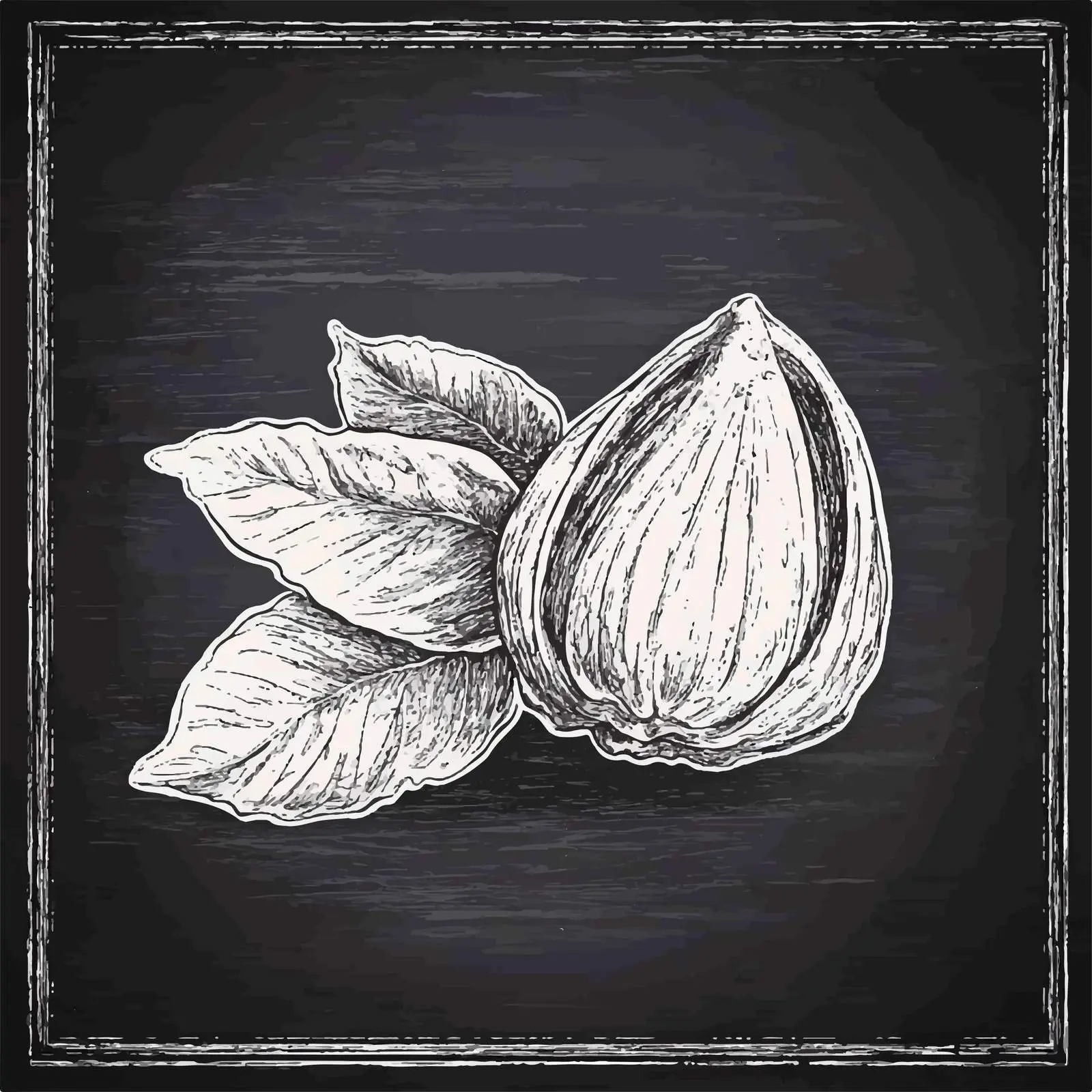Hand-Drawn Chestnut Sketch on Chalkboard — free download from Dotvec