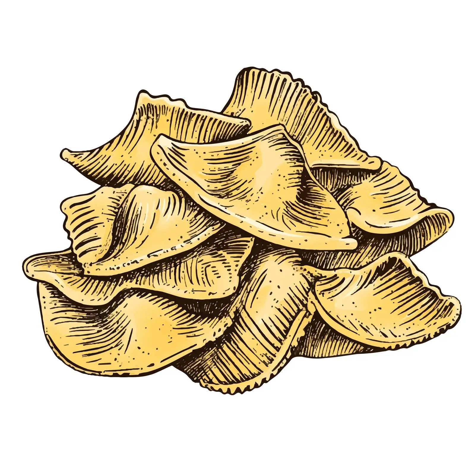 Hand-Drawn Chifferi Pasta on White Background — free download from Dotvec