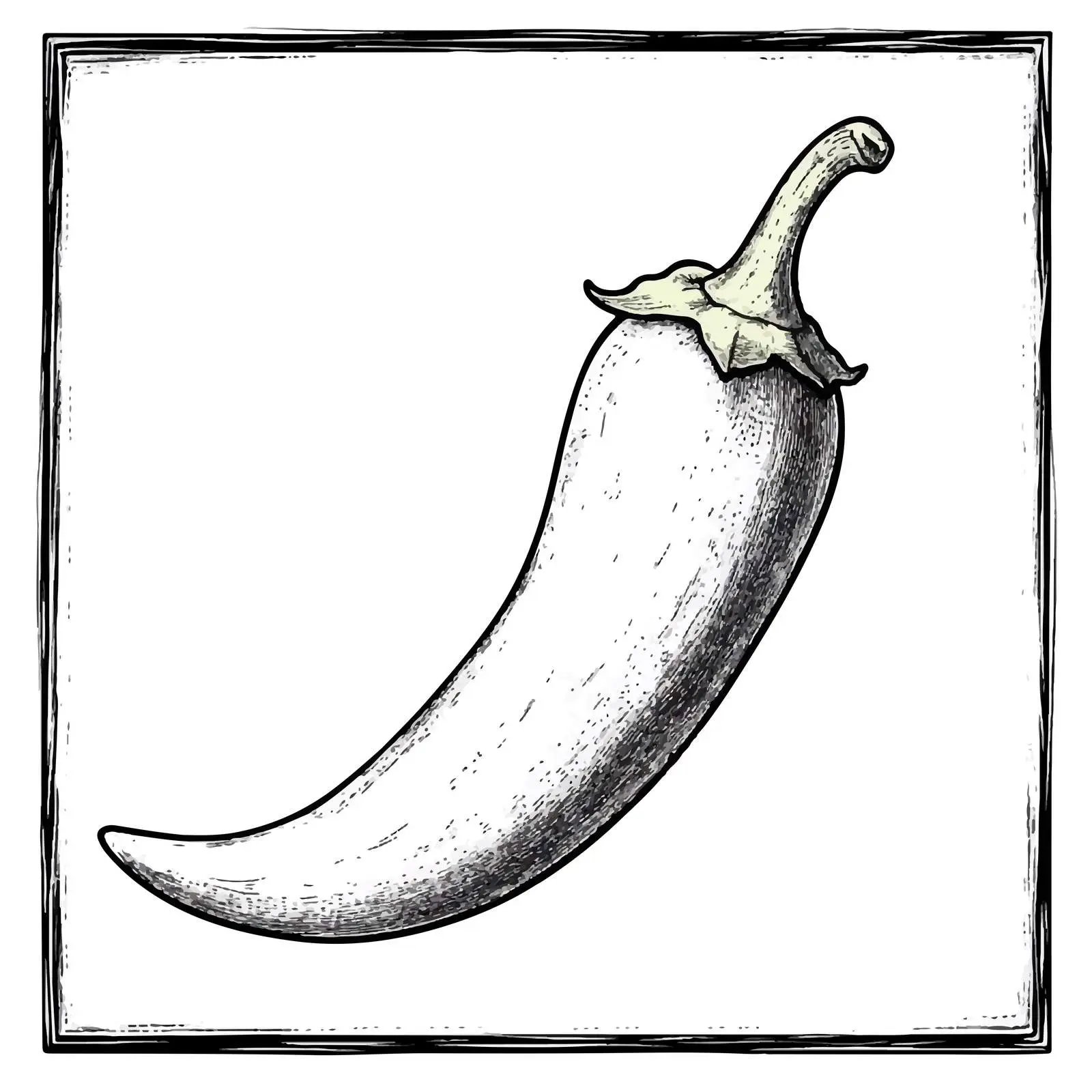 Hand Drawn Chili Pepper Sketch Vector Art — free download from Dotvec