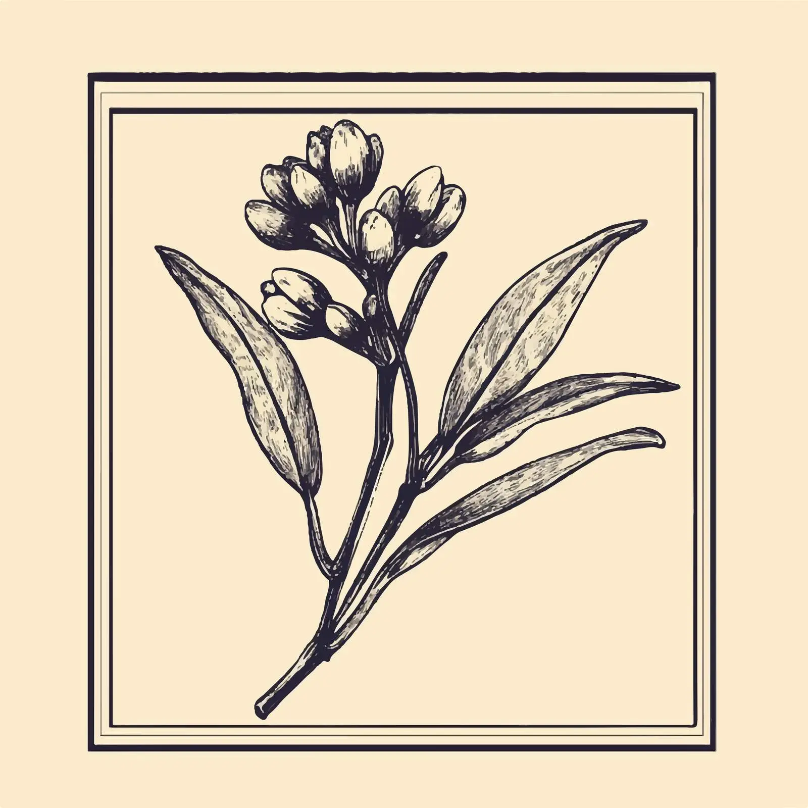 Hand-Drawn Clove on Beige Background — free download from Dotvec