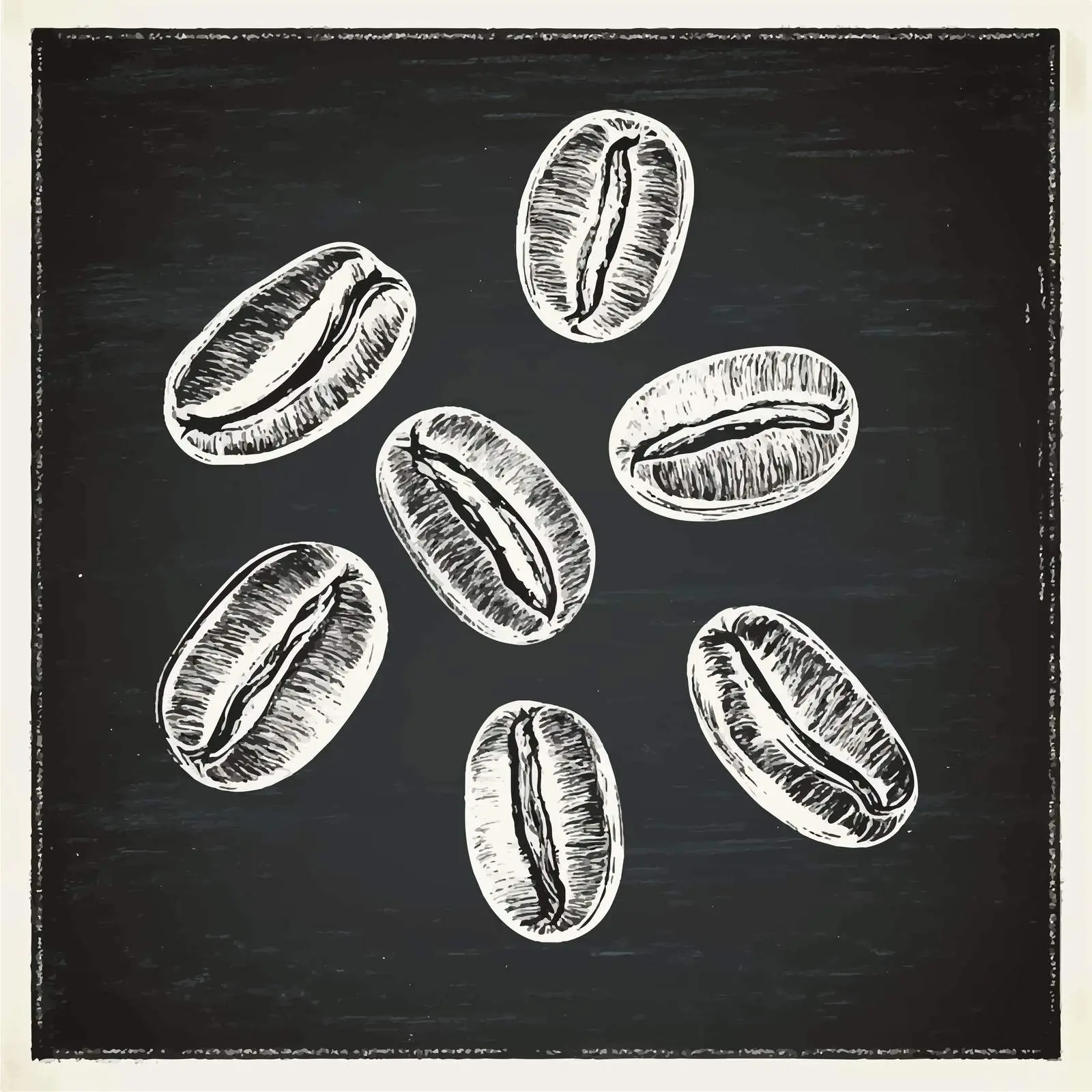 Hand-Drawn Coffee Beans Sketch on Chalkboard — free download from Dotvec