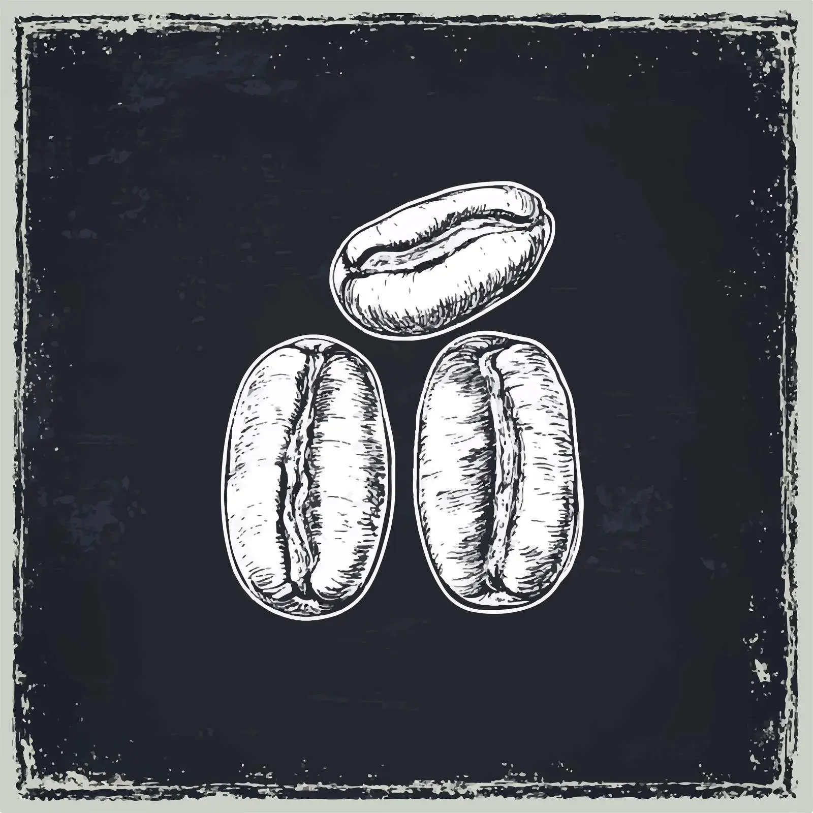 Hand Drawn Coffee Beans Sketch on Chalkboard – free roasting image from Dotvec