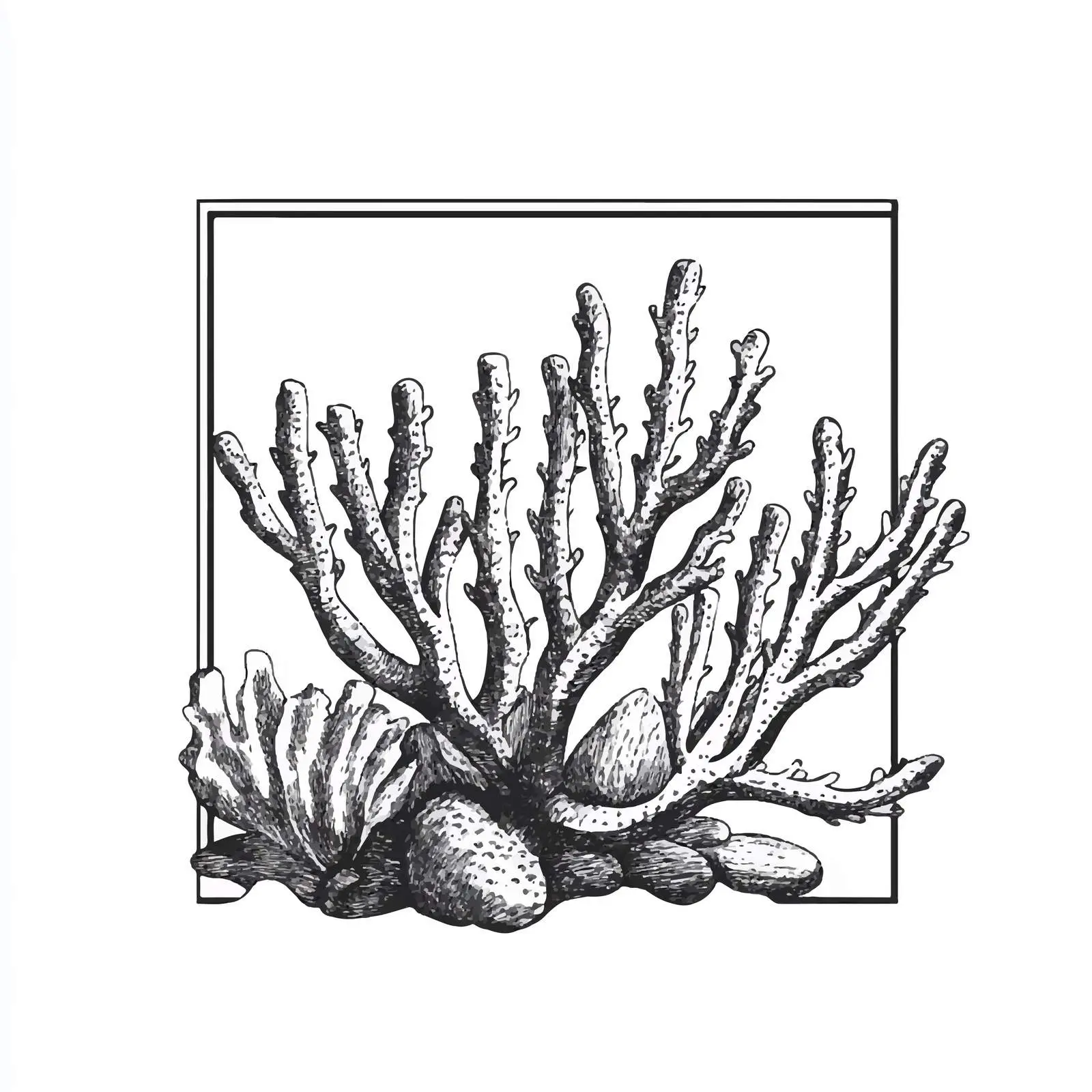 Hand Drawn Coral Sketch Vector Design — free download from Dotvec