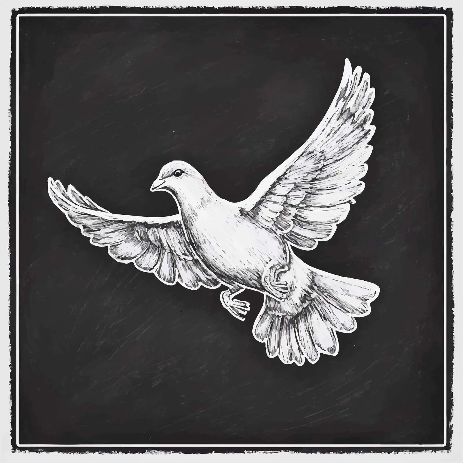 Hand Drawn Dove Sketch on Chalkboard Background — free download from Dotvec