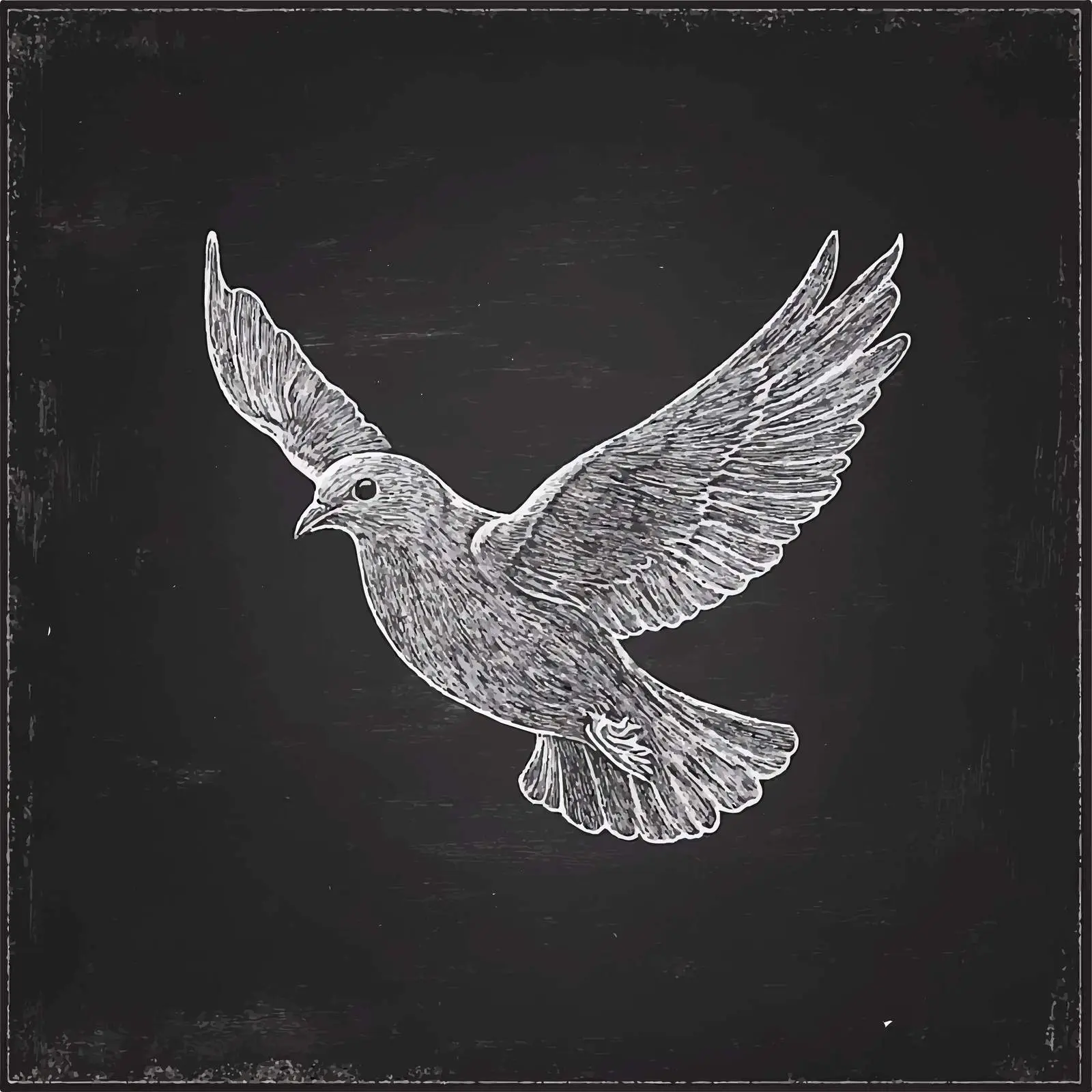 Hand Drawn Dove Sketch on Chalkboard — free download from Dotvec