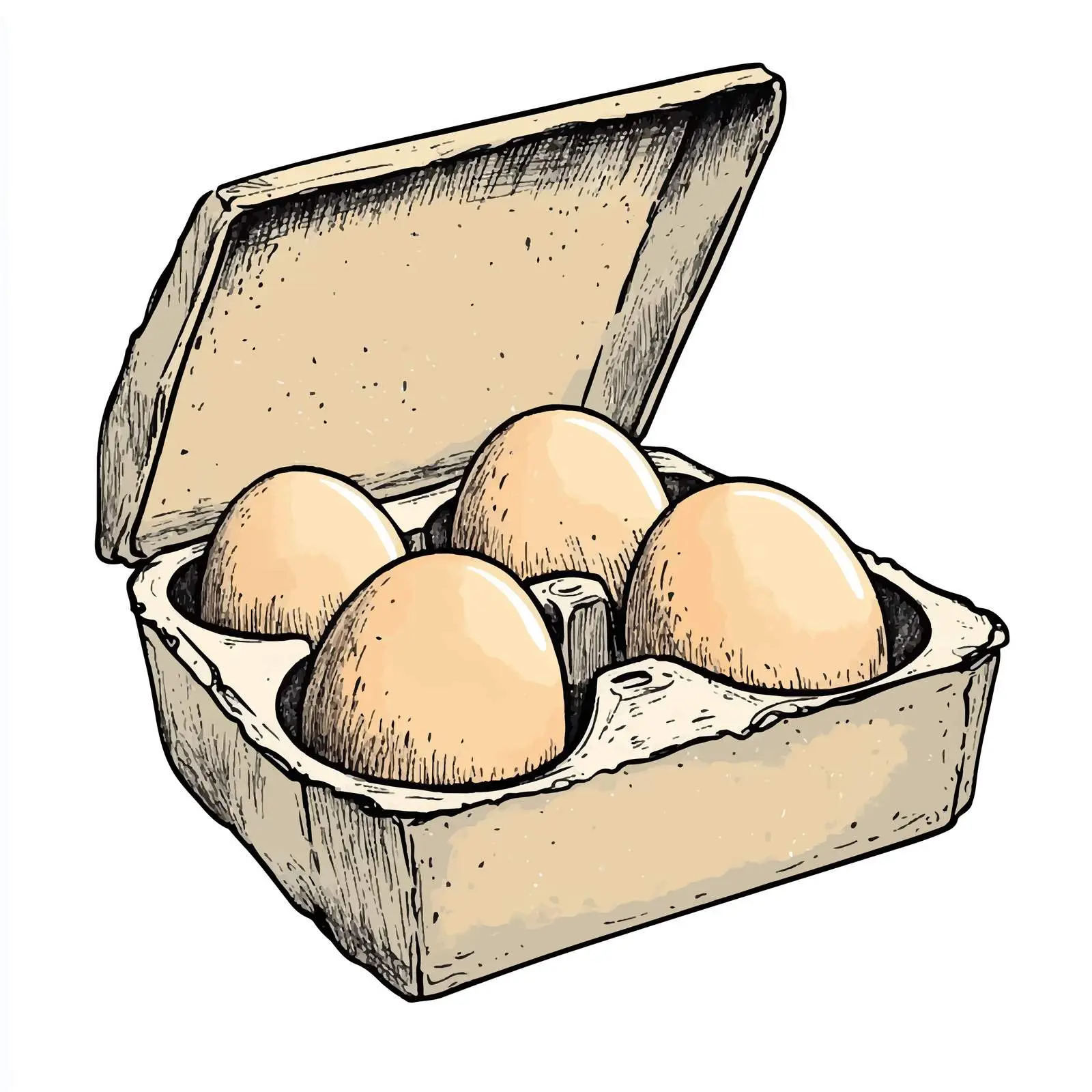 Hand-Drawn Eggs in a Box Sketch — free download from Dotvec