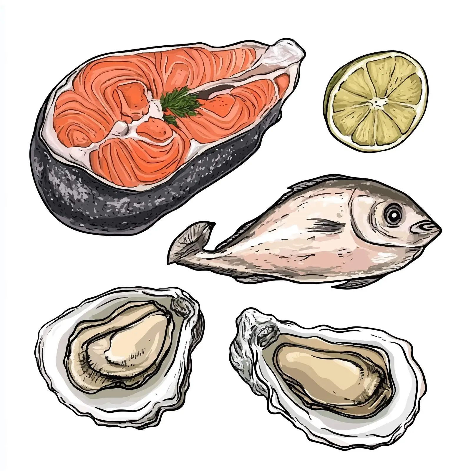 Hand Drawn Fish Steak on White Background — free download from Dotvec