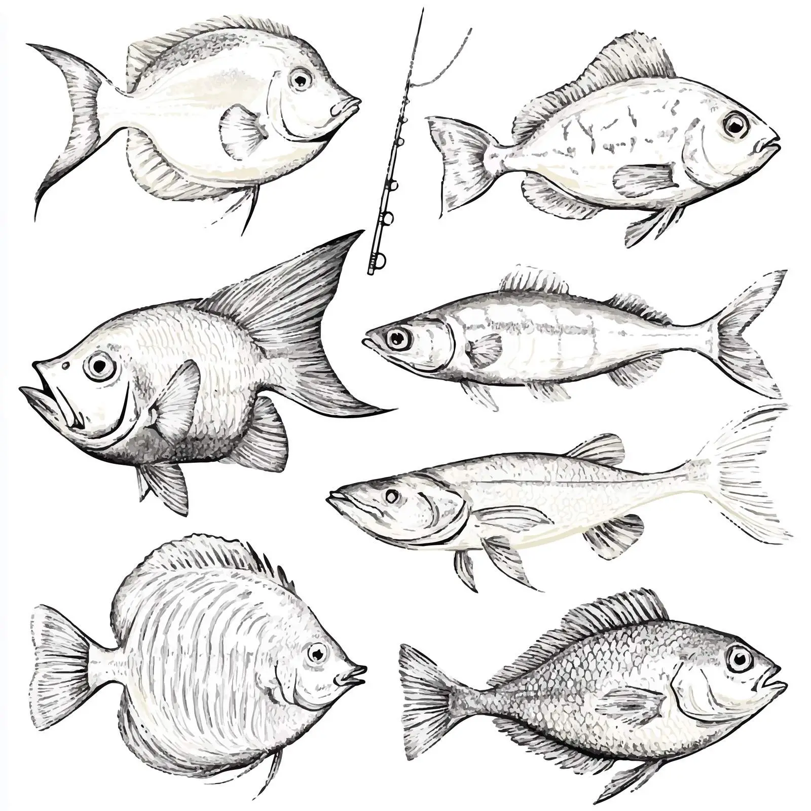 Hand Drawn Fishing Sketches Collection — free download from Dotvec
