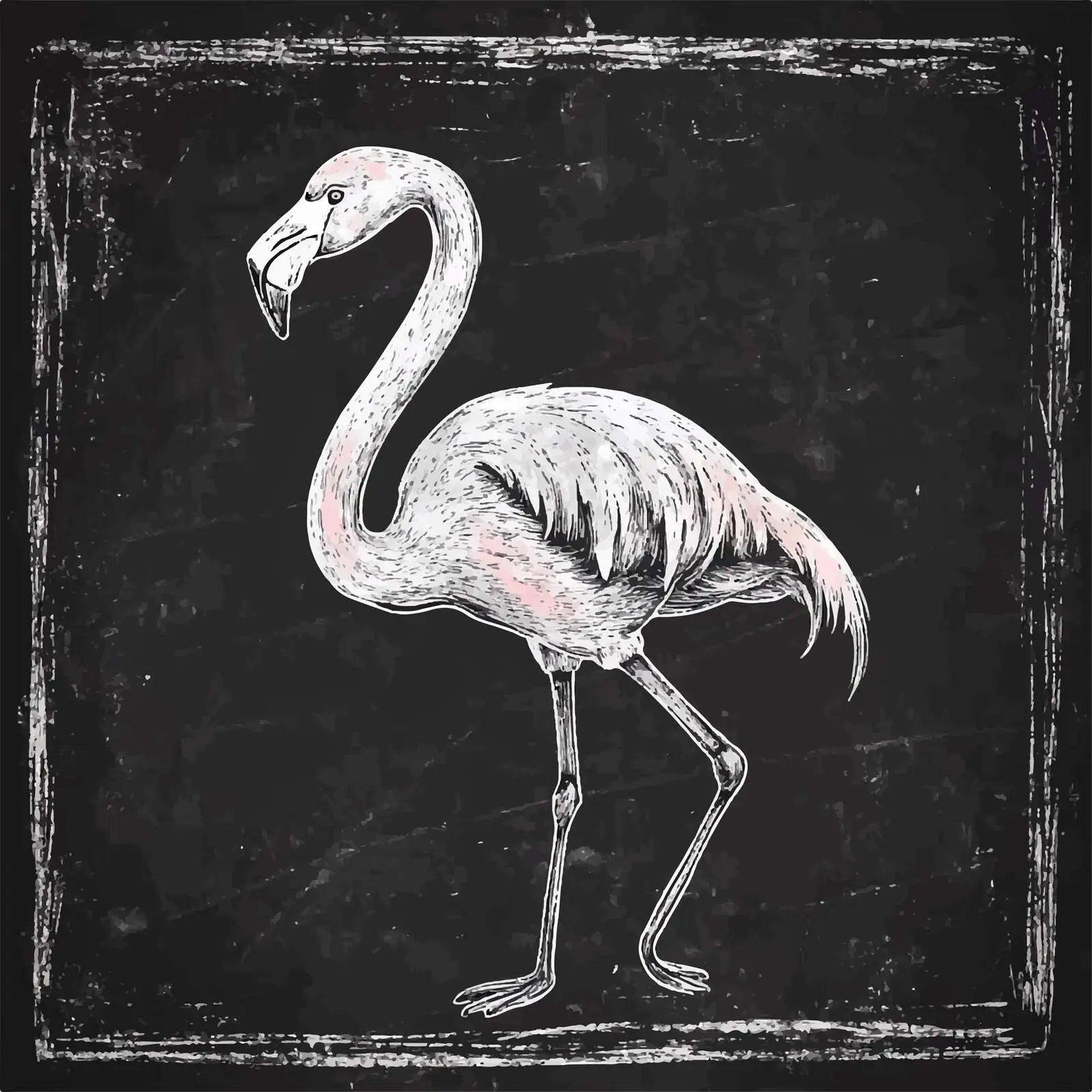 Hand Drawn Flamingo Sketch on Chalkboard — free download from Dotvec
