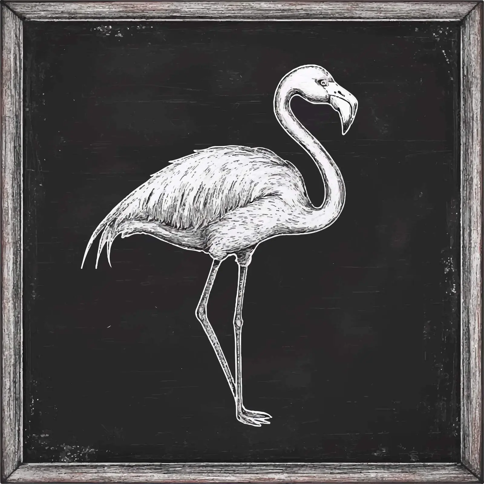 Hand Drawn Flamingo Sketch on Chalkboard — free download from Dotvec