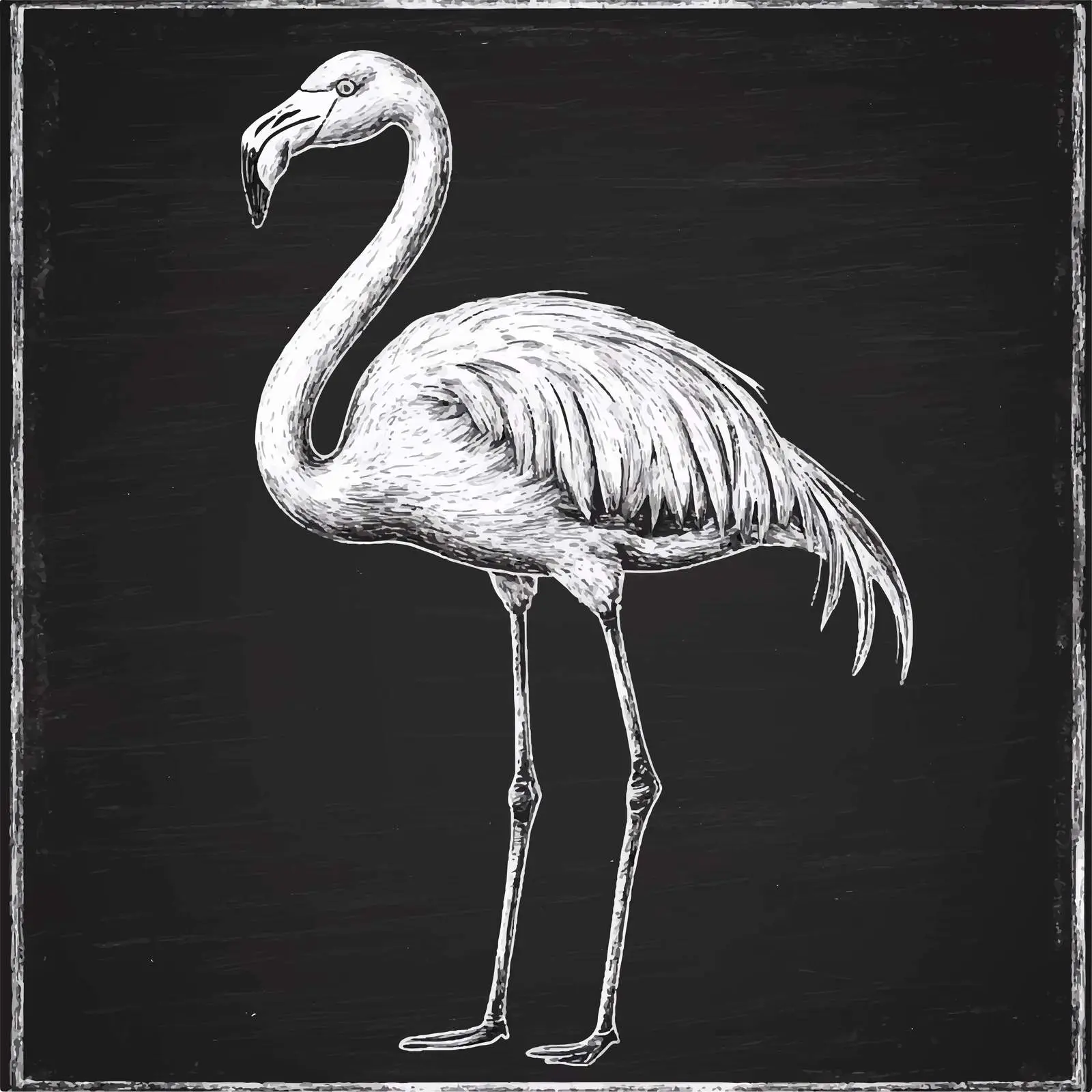 Hand-Drawn Flamingo Sketch on Chalkboard — free download from Dotvec