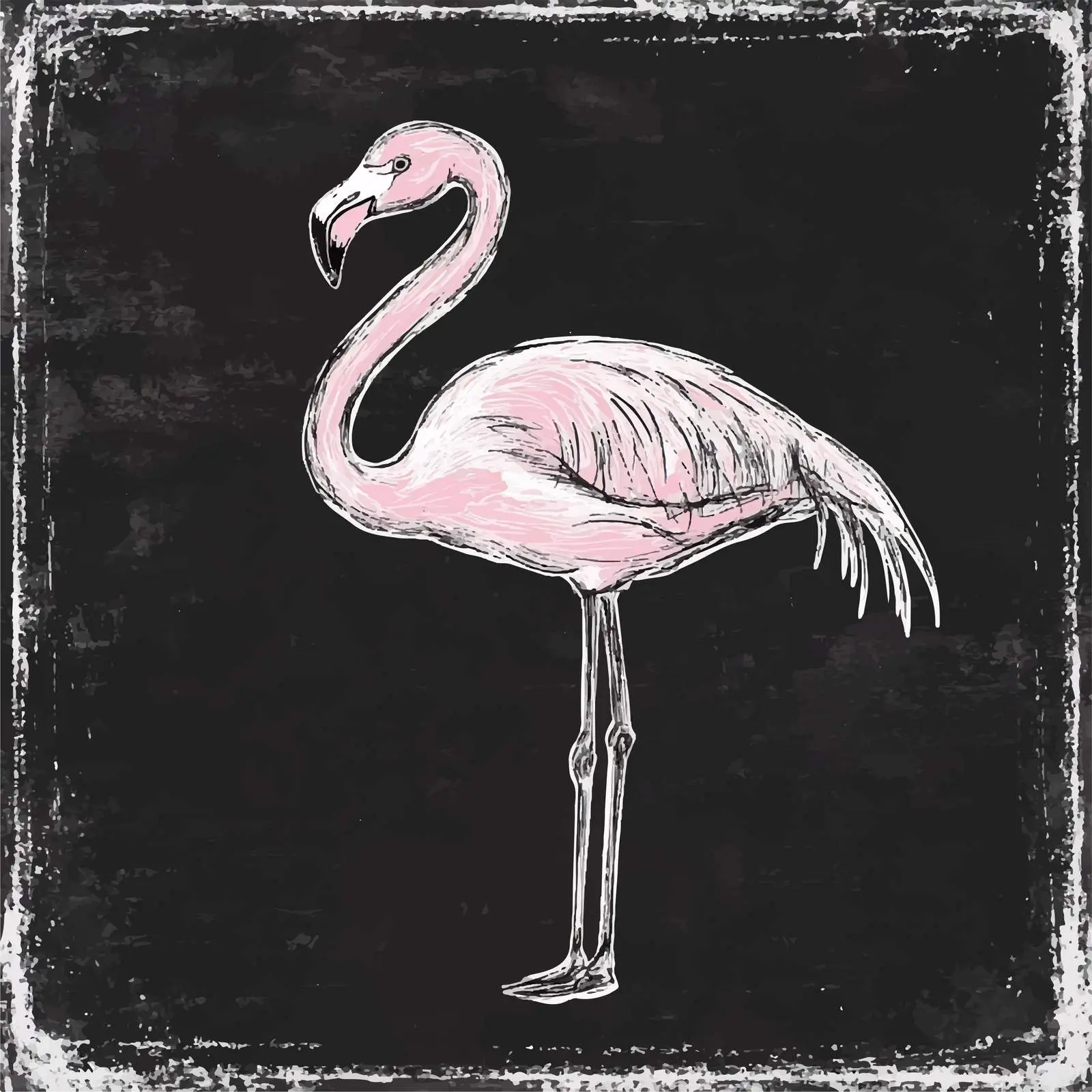 Hand Drawn Flamingo Sketch on Chalkboard — free download from Dotvec