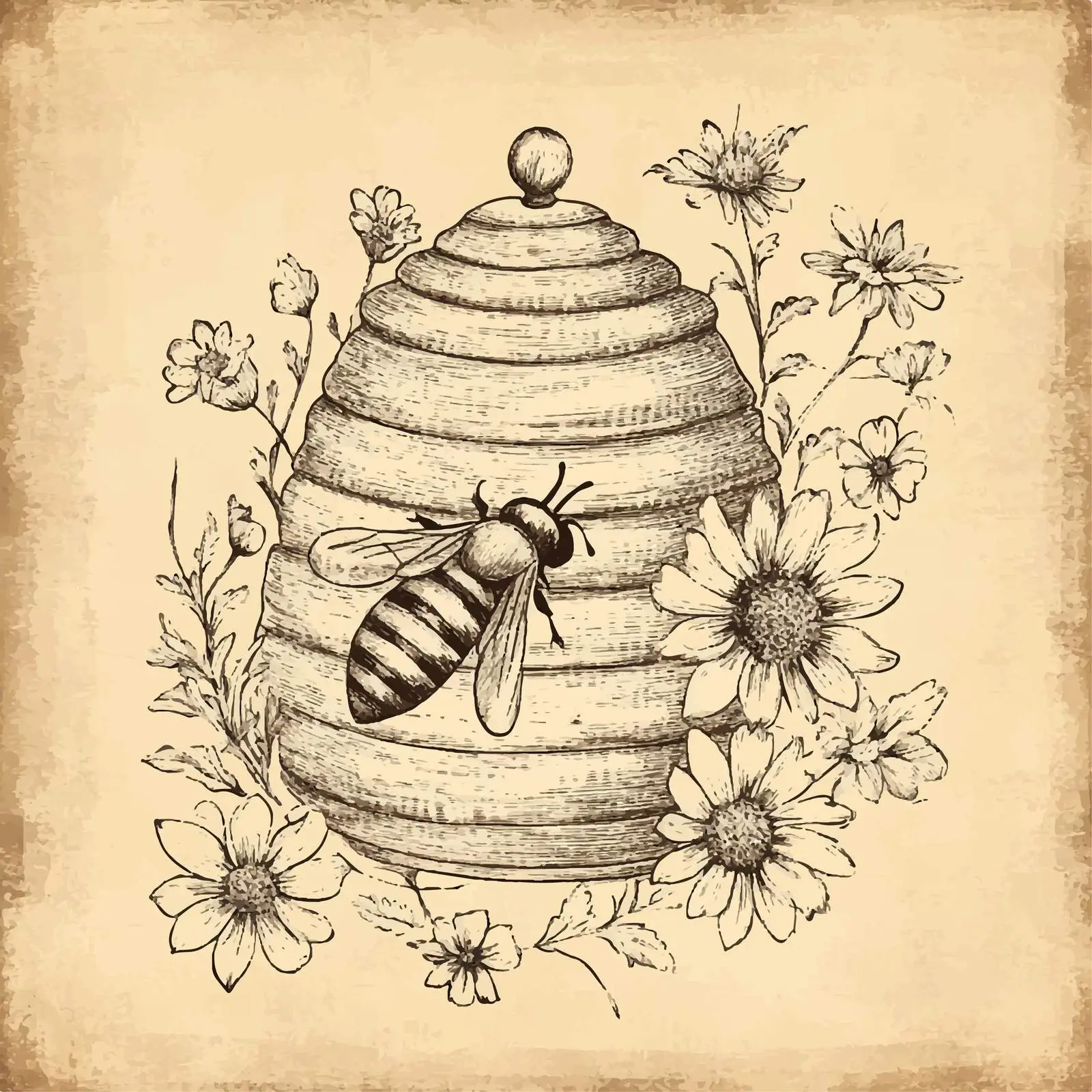 Hand Drawn Flower Sketch on Vintage Paper — free download from Dotvec