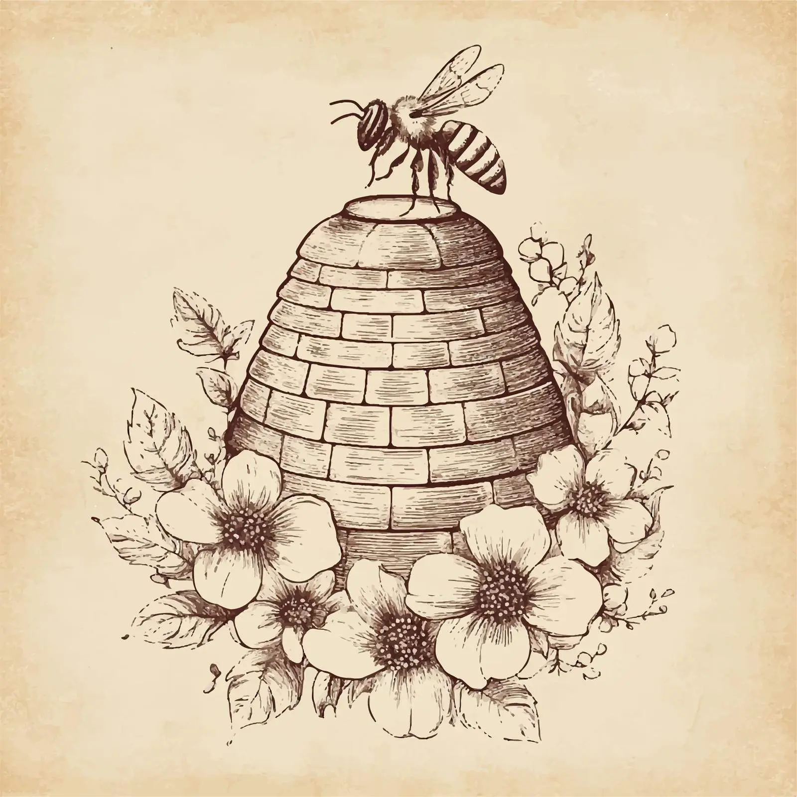 Hand Drawn Flower Sketch on Vintage Paper — free download from Dotvec