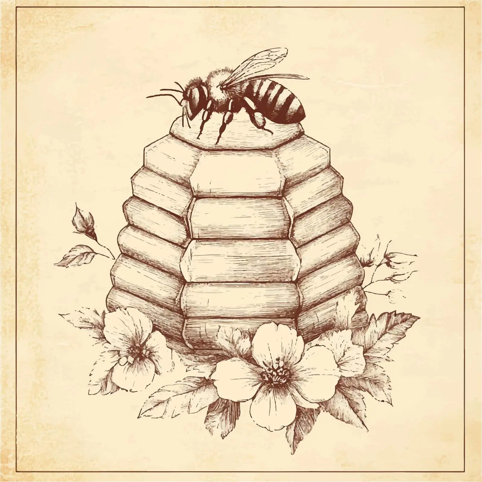 Hand-Drawn Flower Sketch on Old Paper Background — free download from Dotvec