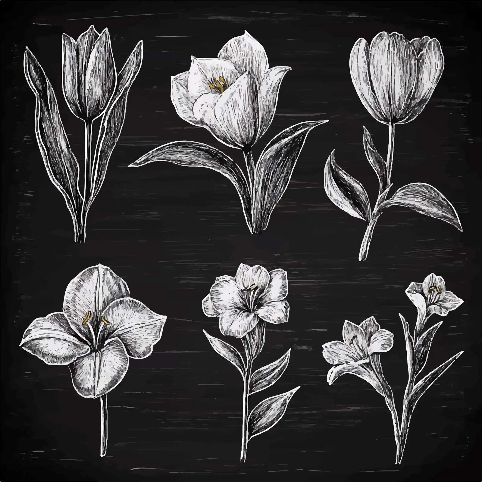 Hand-Drawn Flower Sketches Collection — free download from Dotvec
