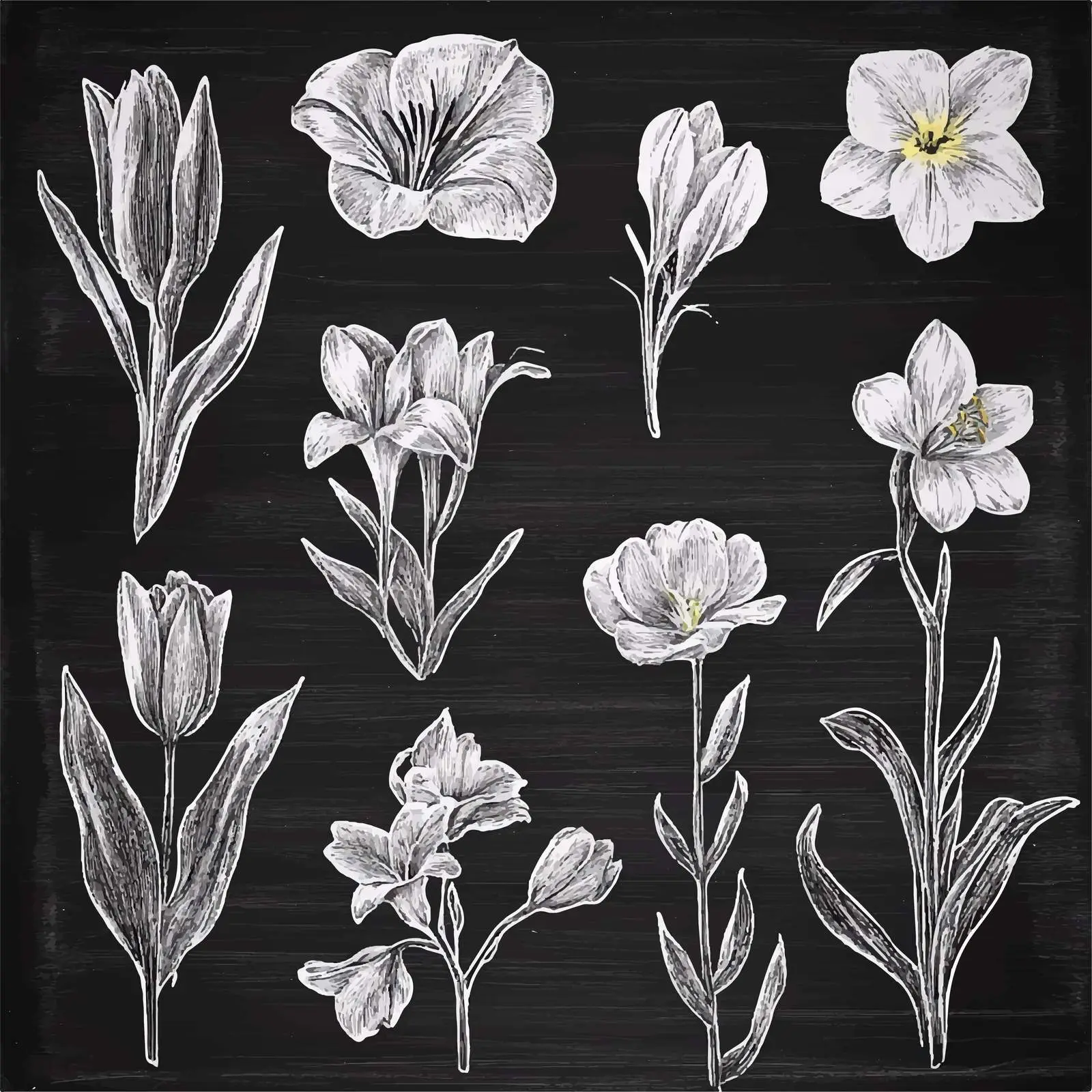 Hand-Drawn Flower Sketches Collection — free download from Dotvec