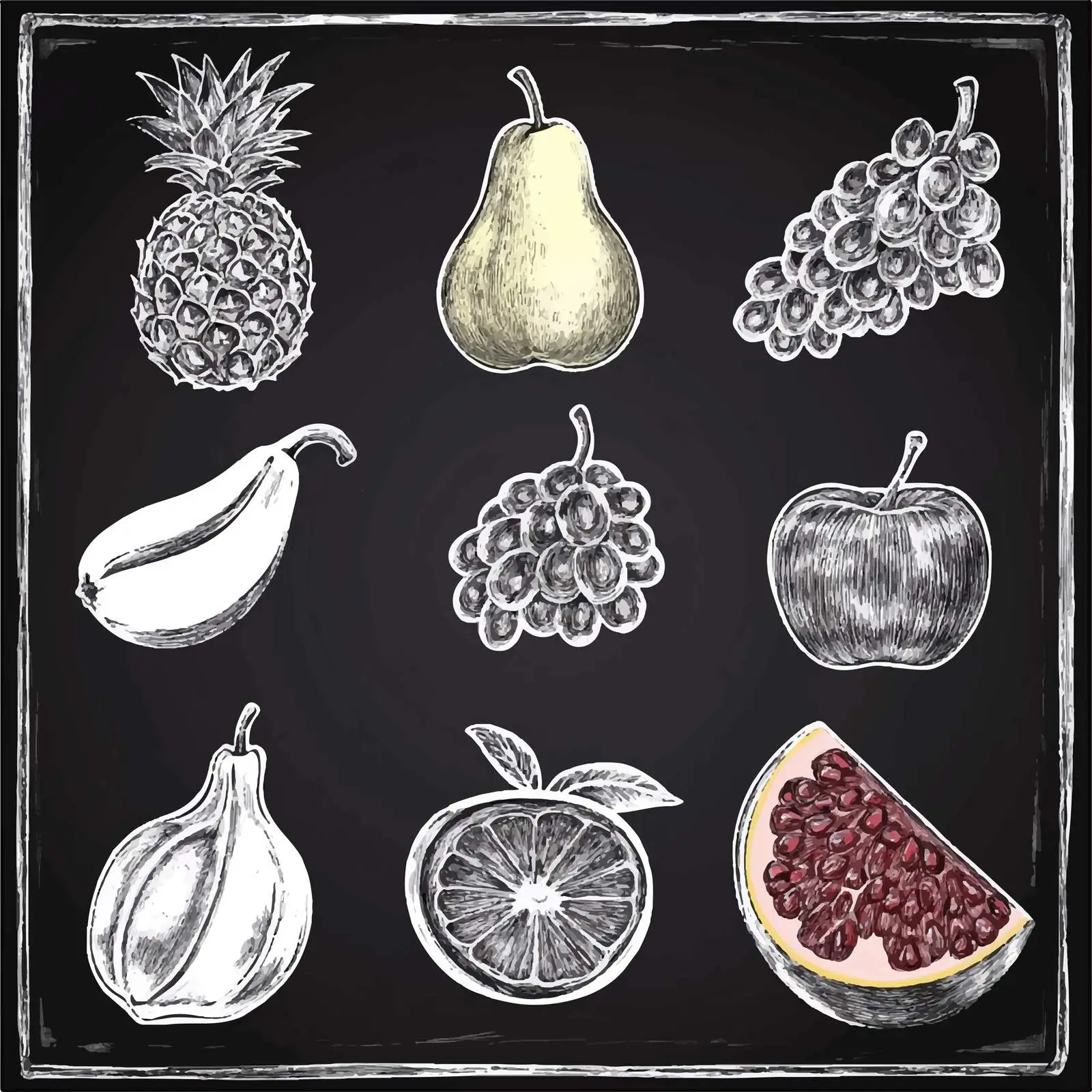 Hand Drawn Fruit Sketches Collection – free fruit collection image from Dotvec