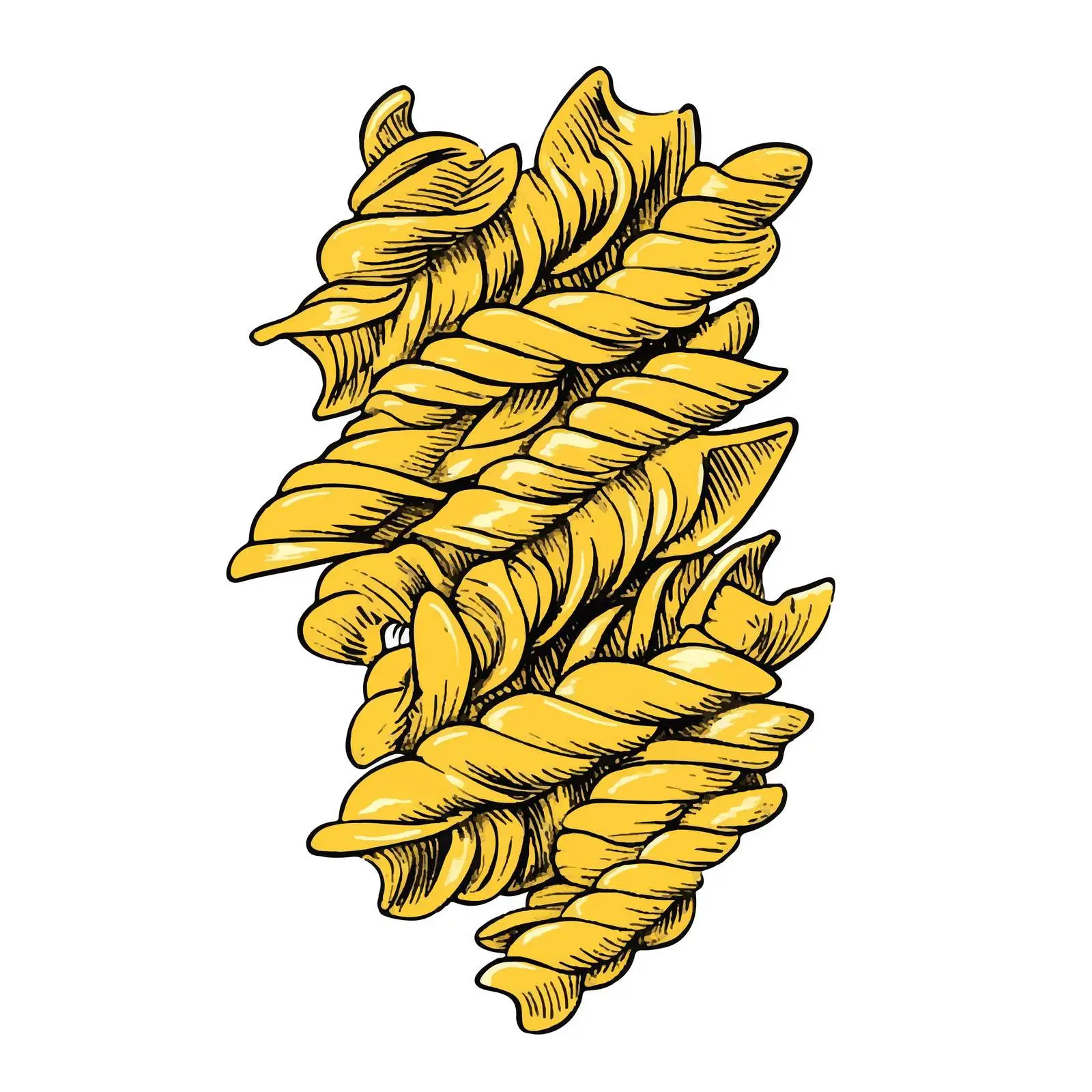 Hand-Drawn Fusilli Pasta on White Background – free pastas image from Dotvec