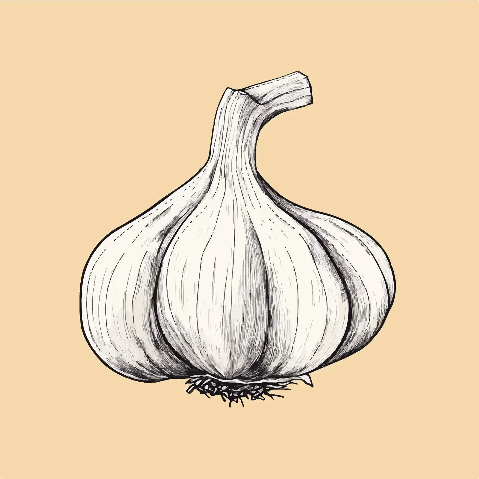 Hand-Drawn Garlic Illustration on Beige Background — free download from Dotvec